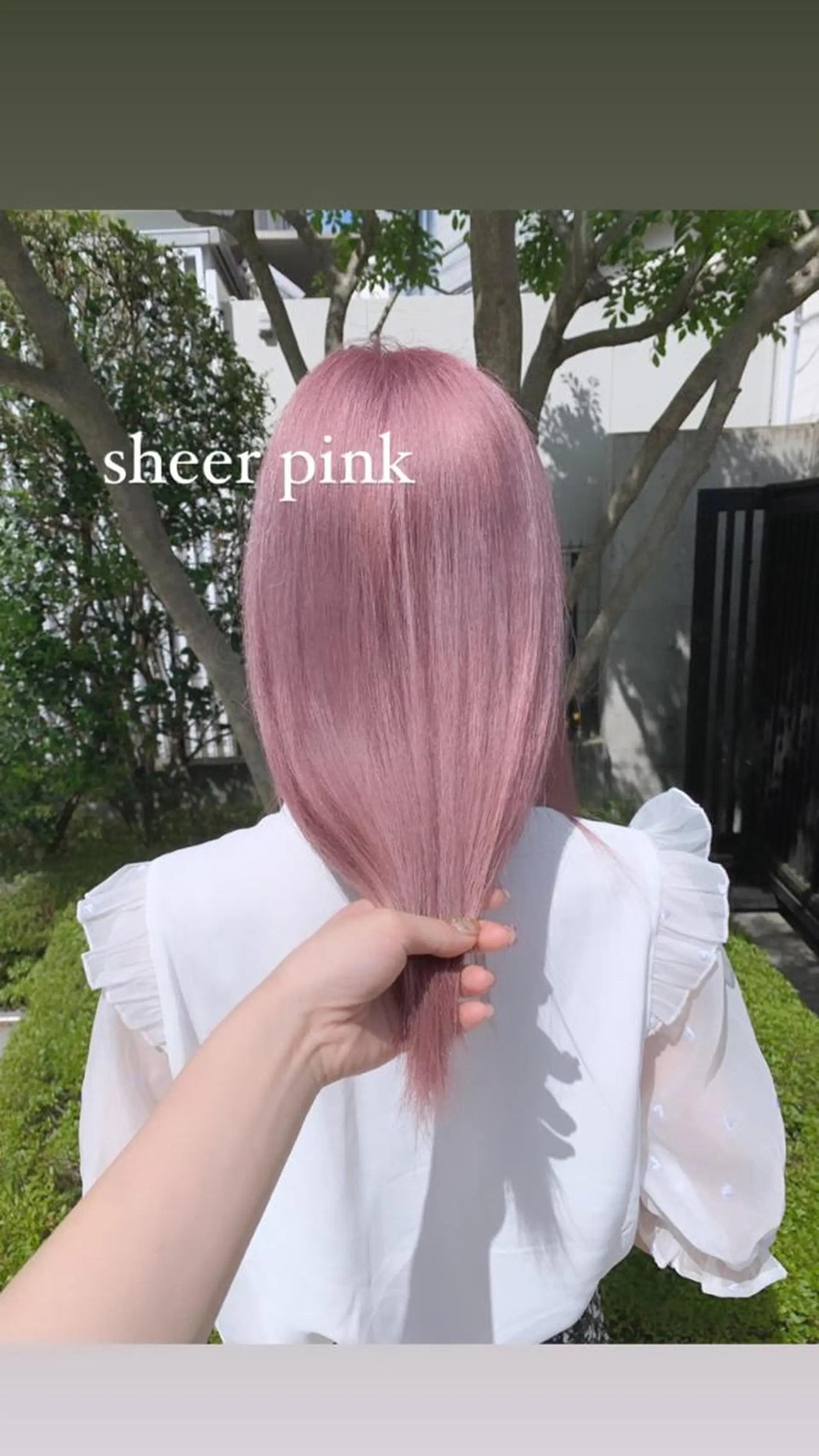 セミロング カラー パーマ ヘアアレンジ メンズ キッズ ネイル マツエク・マツパ アイブロウ メンズバレイヤージュ メンズブリーチ メンズハイライト メンズハイトーン メンズインナーカラー 🐺ウルフ×ハイトー ン🖤Yukinoのヘアスタイル