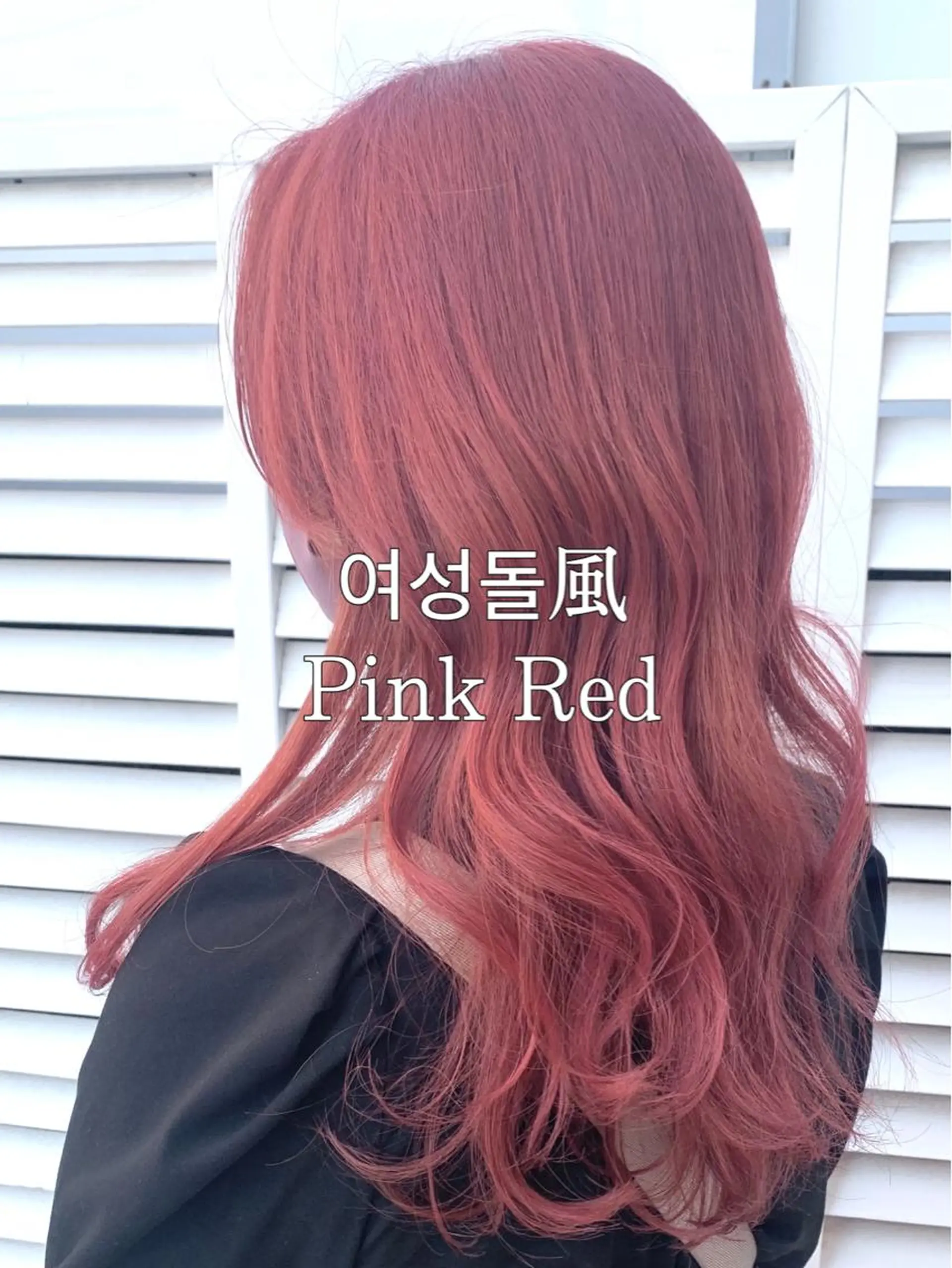 カラー 本場韓国ヘア特化 아이비/Aibiのヘアスタイル
