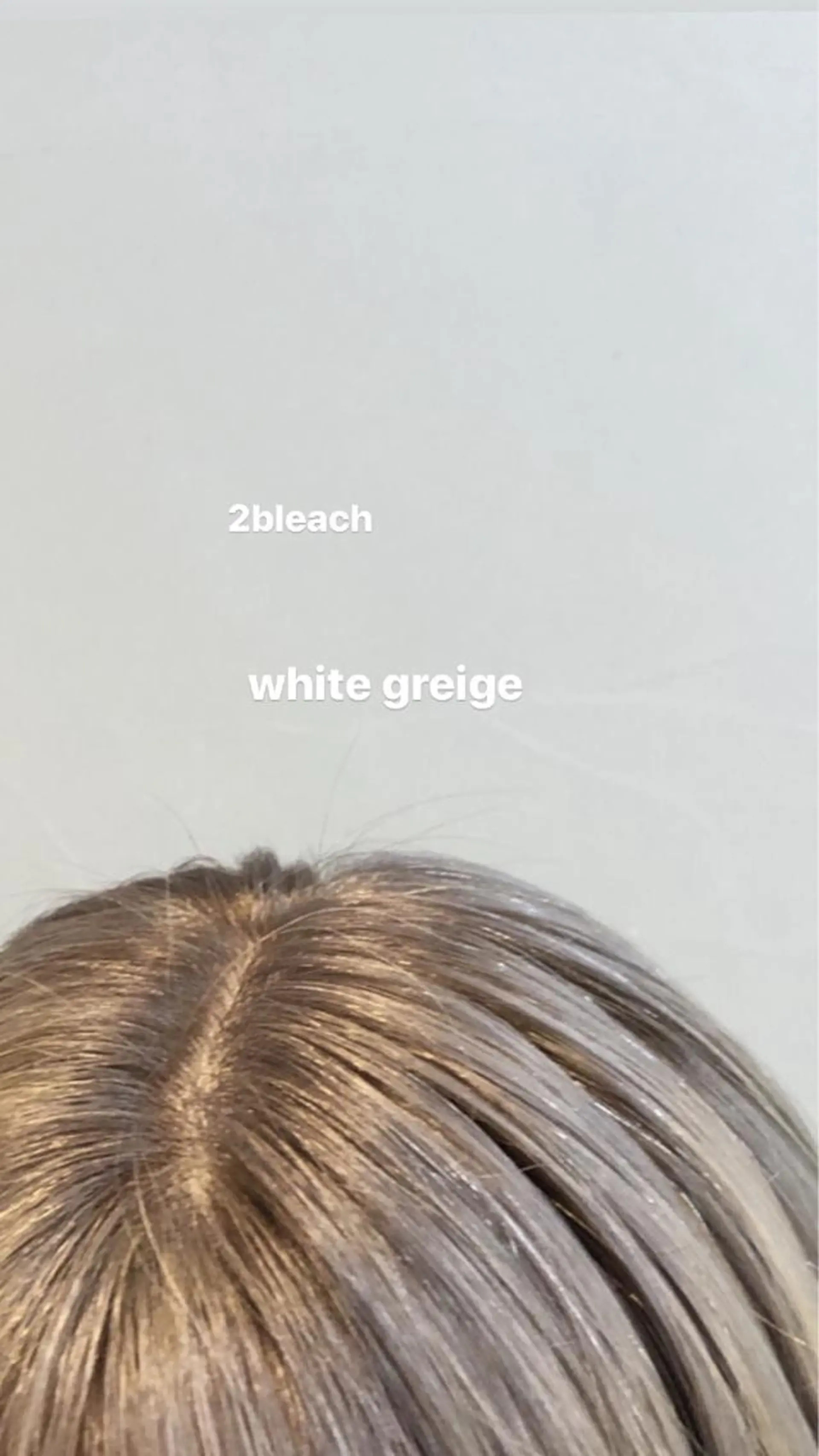 セミロング カラー ブリーチ ヘアカラー hono/ボブ/ ハイトーン/ベージュのヘアスタイル