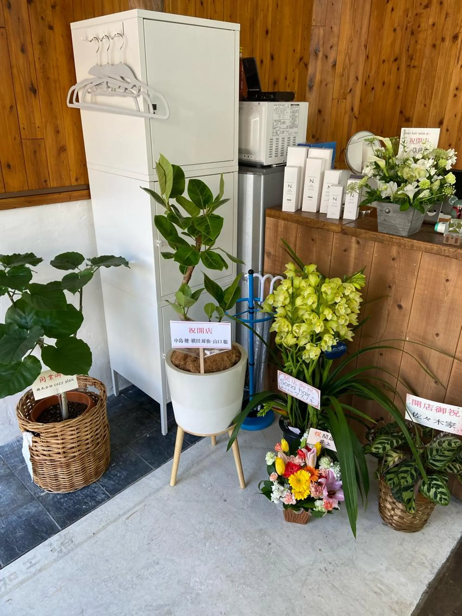 紙屋 隼人のヘアスタイル