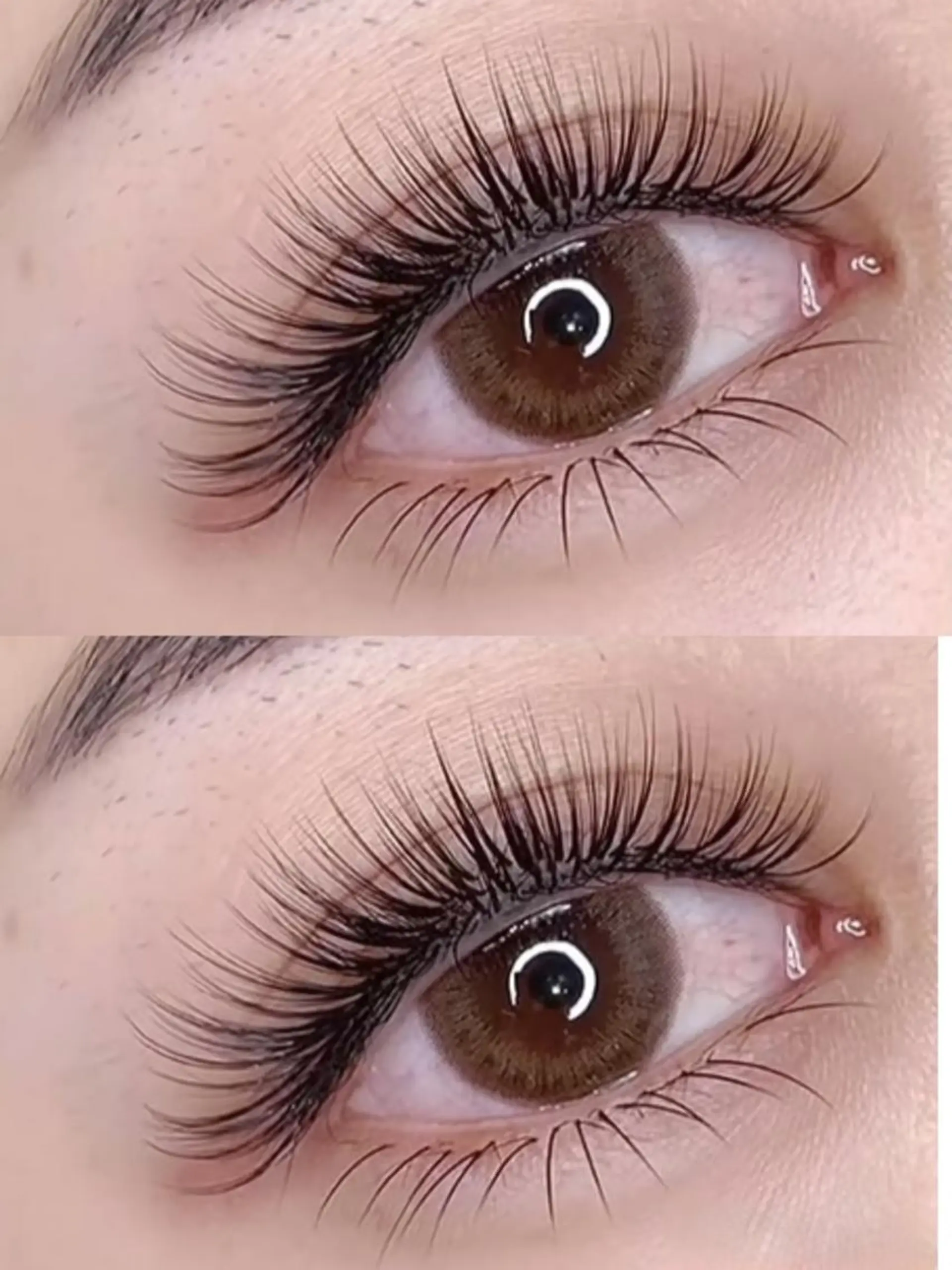 マツエク・マツパ マツエク KUMI🤎Eye lash🌻新大久保のマツエク・マツパデザイン