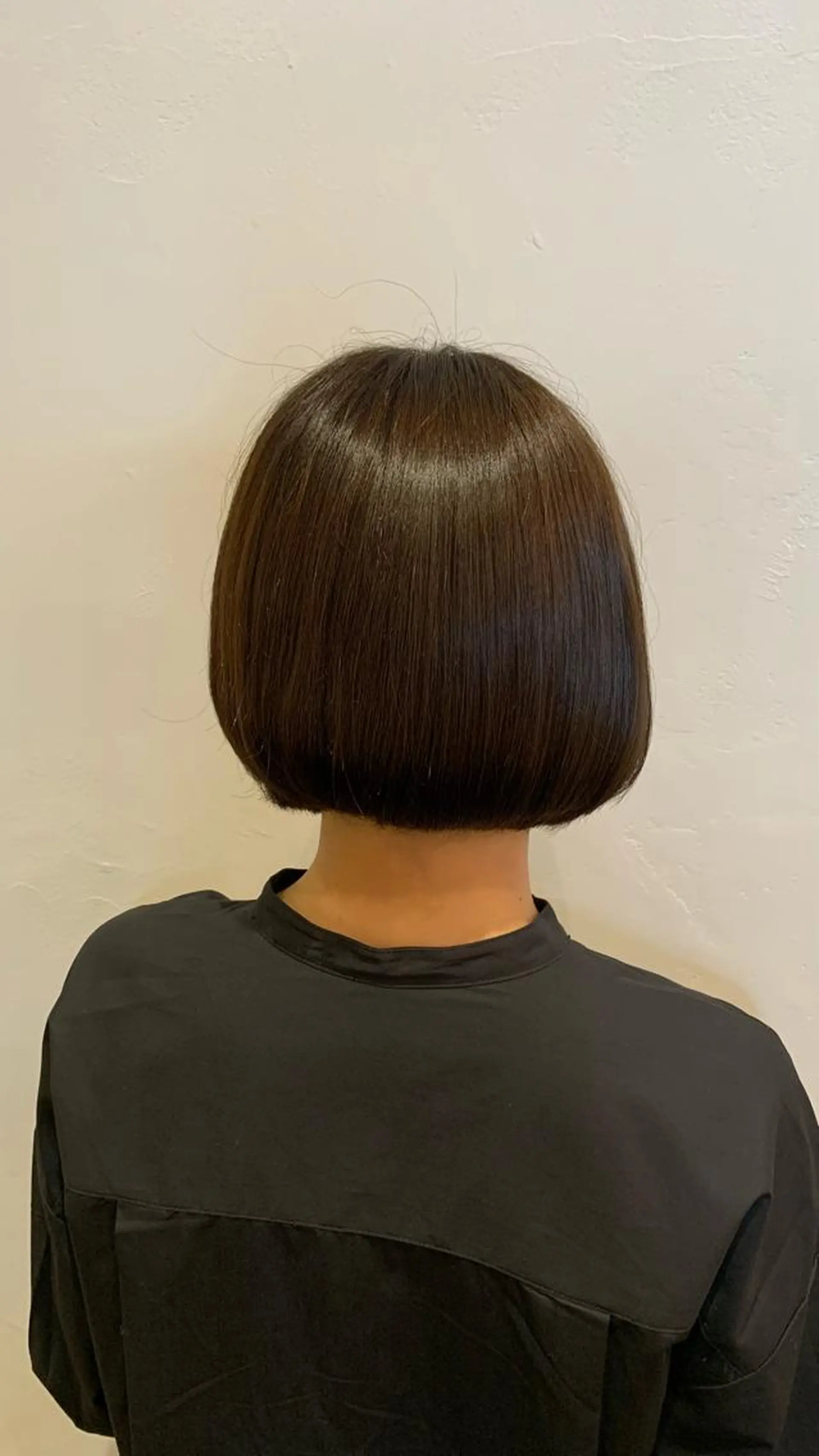 ショート カラー トリートメント カット ヘアカラー トリートメント 🧸 仲間ひめかのヘアスタイル