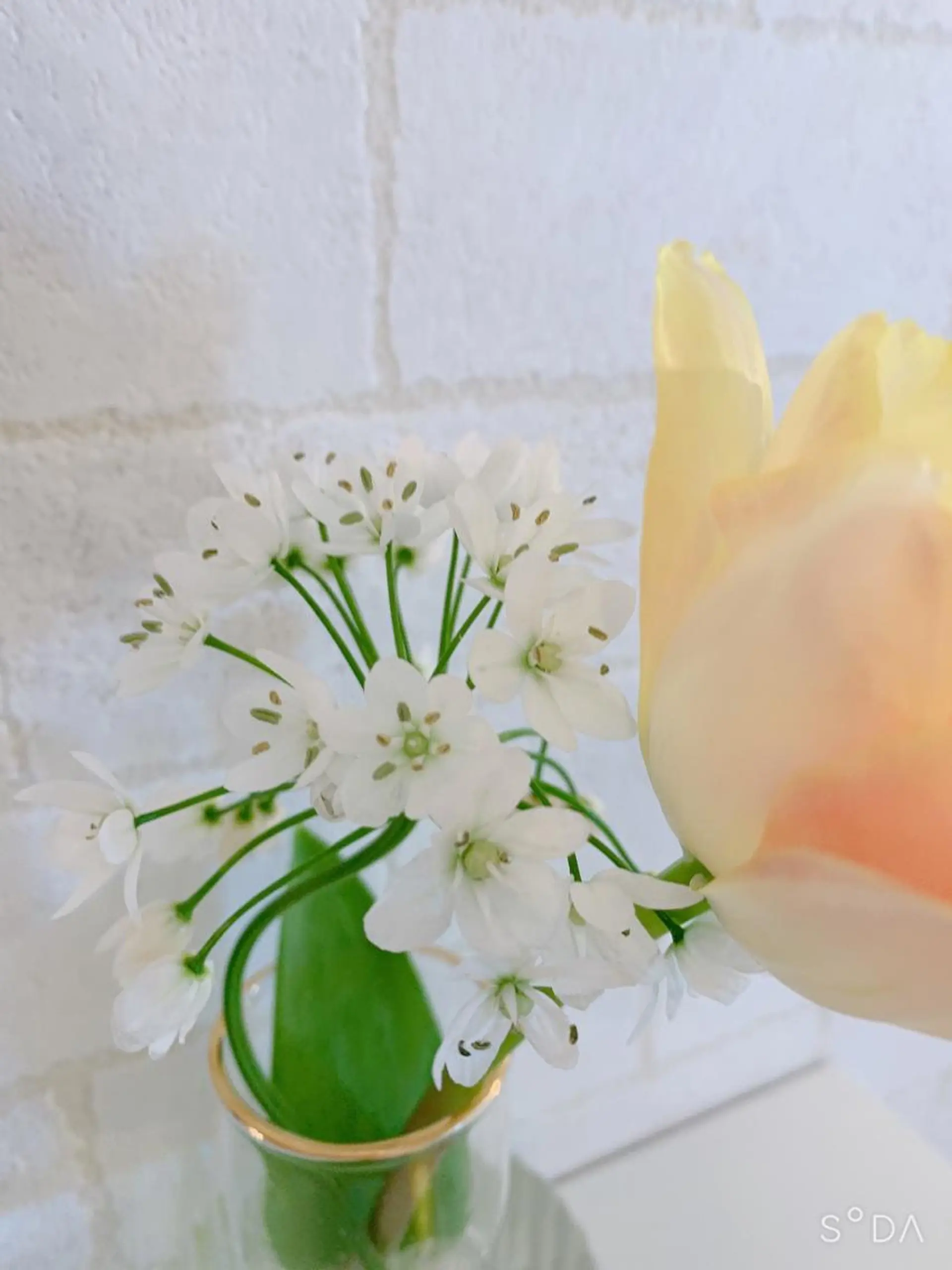 木場 ＊のマツエク・マツパデザイン