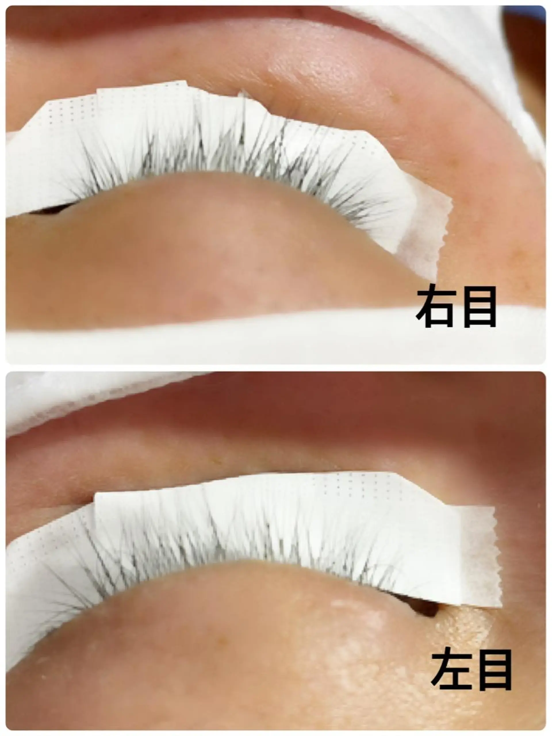 マツエク・マツパ 付け放題 フラットラッシュ セーブル ボリュームラッシュ salonde CHANELのマツエク・マツパデザイン