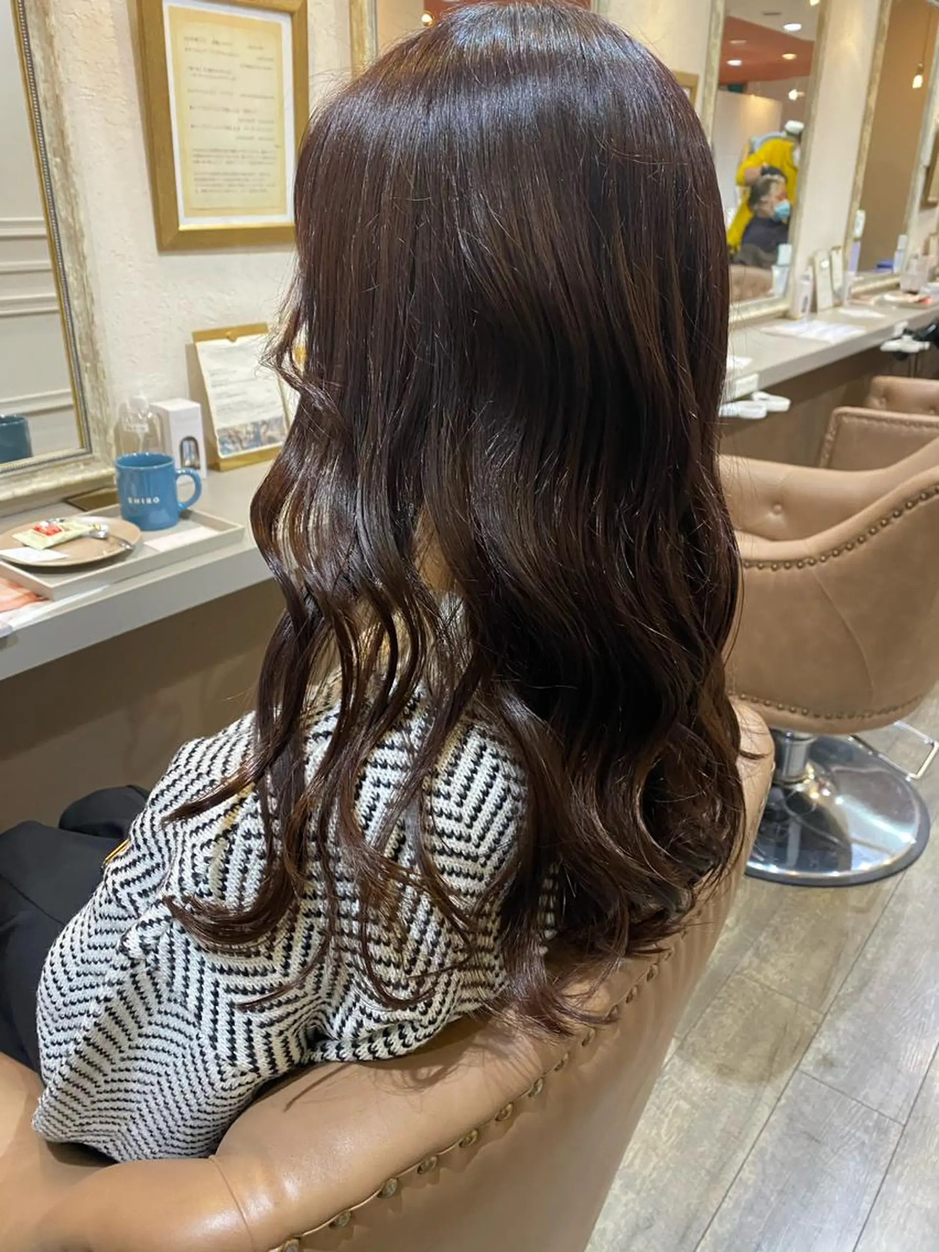 ロング チョコレートブラウン レイヤーカット カット ヘアカラー トリートメント 艶髪　透明感カラー 田中伶奈のヘアスタイル