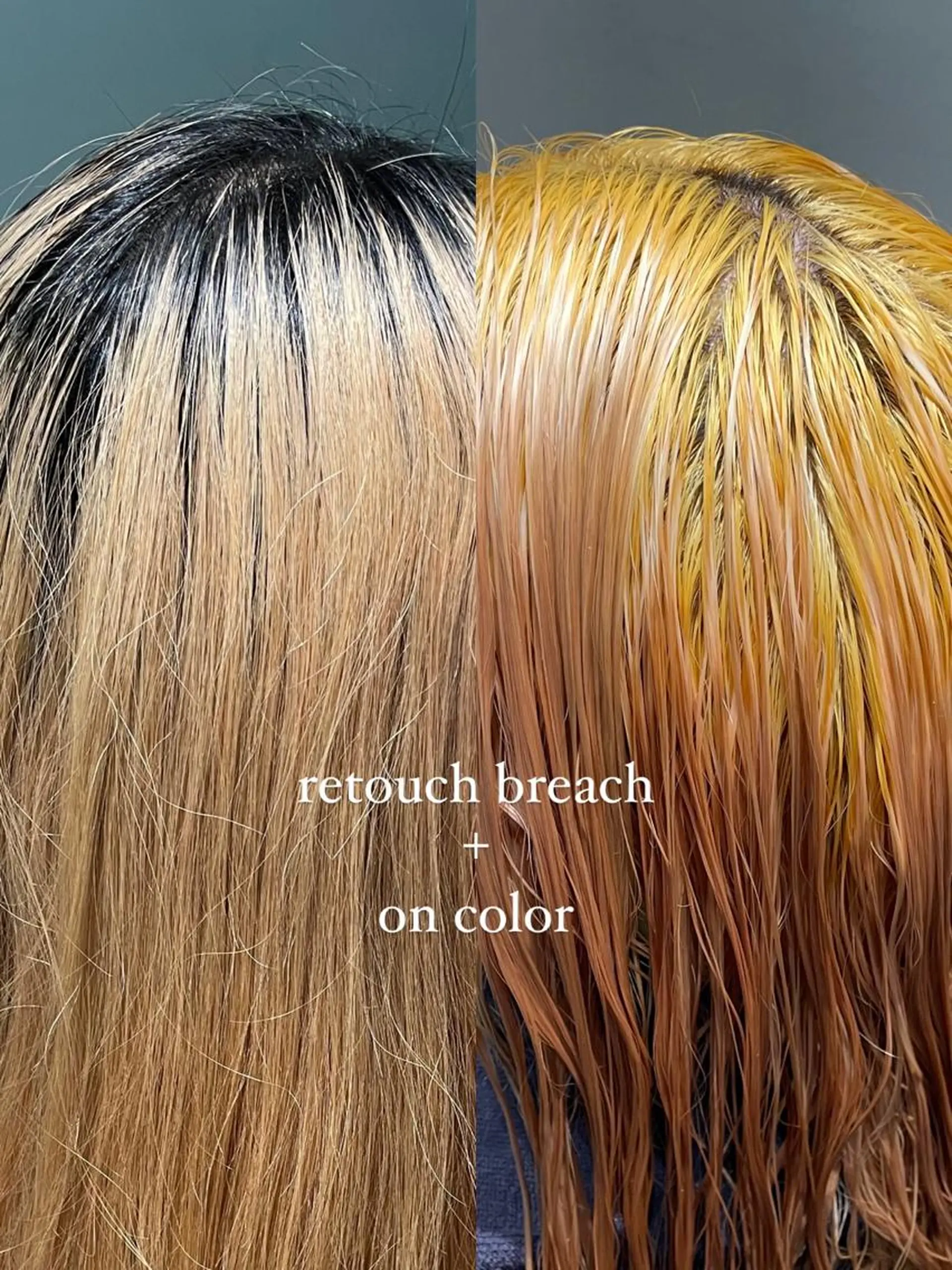 ロング ボブ/艶カラー 鎌倉/MIHO🌼のヘアスタイル