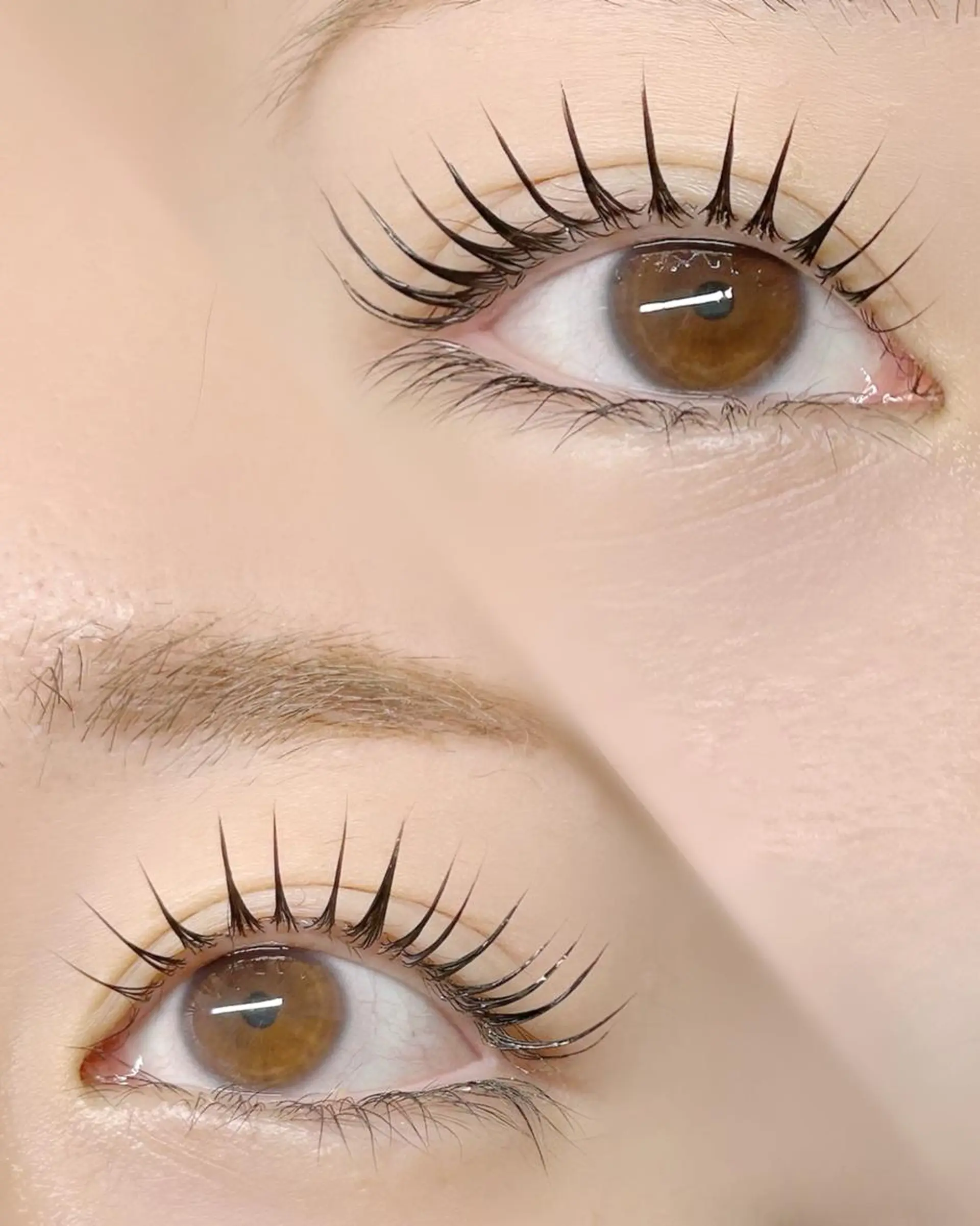 マツエク・マツパ マツパ lieu pré eyelashの眉毛・アイブロウイメージ