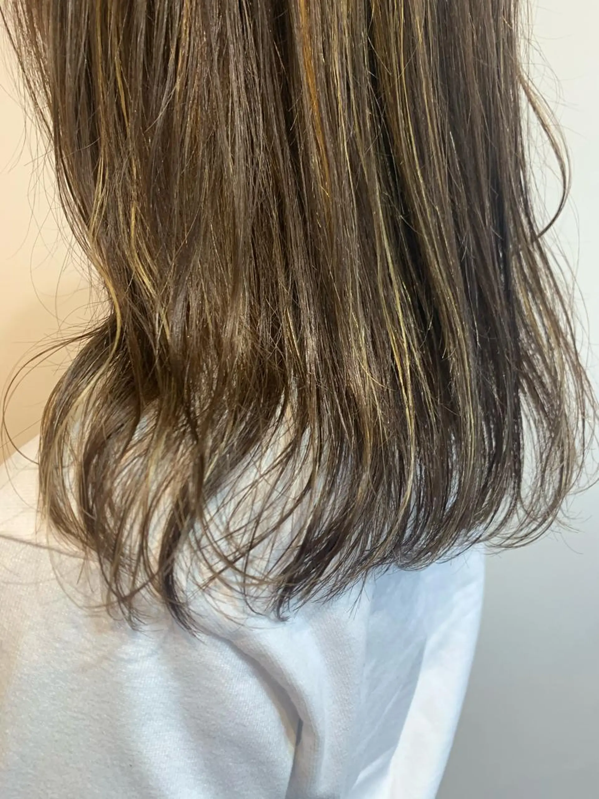 セミロング カラー ハイライトカラー ハイライト 名駅🦢大人艶カラー 🪽カミヤアカネのヘアスタイル