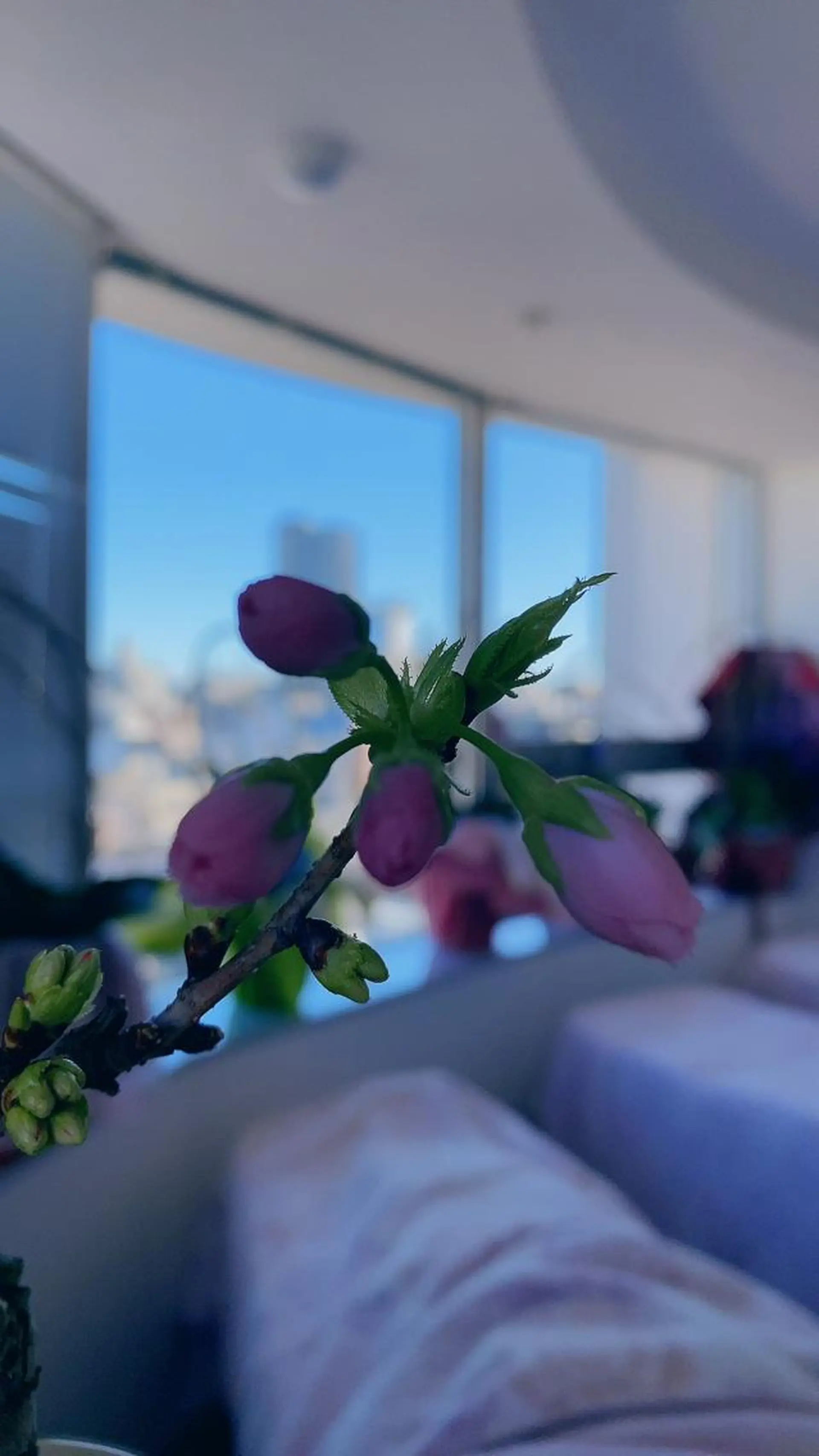 マツエク・マツパ 神山 ビューティー・アイのマツエク・マツパデザイン