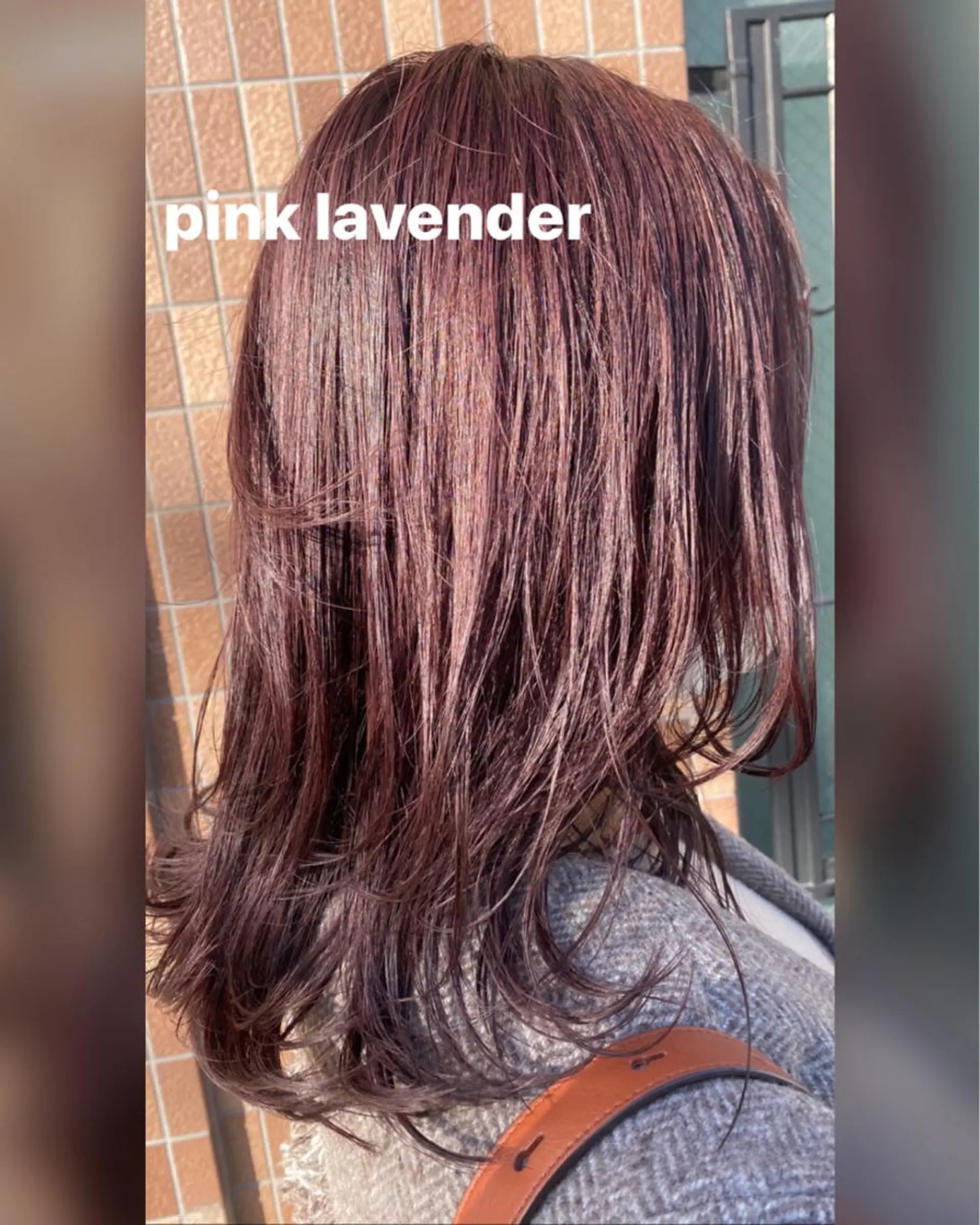 セミロング ピンクラベンダー レイヤーカット 【髪質改善・矯正 ・ハイライト】ハナカのヘアスタイル