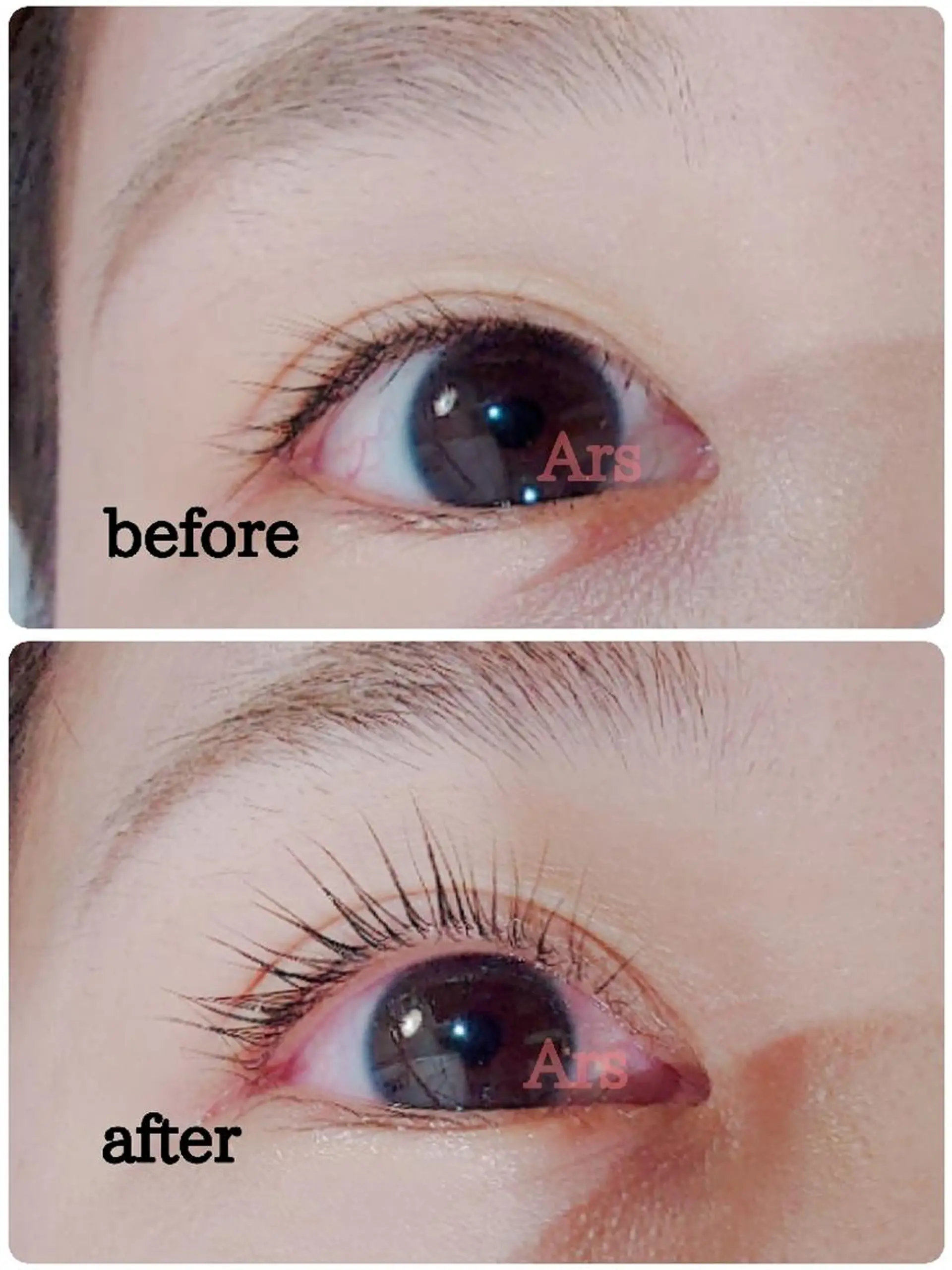 マツエク・マツパ アイリッドアップパーマ Ars      (ｱﾙｽ)のマツエク・マツパデザイン