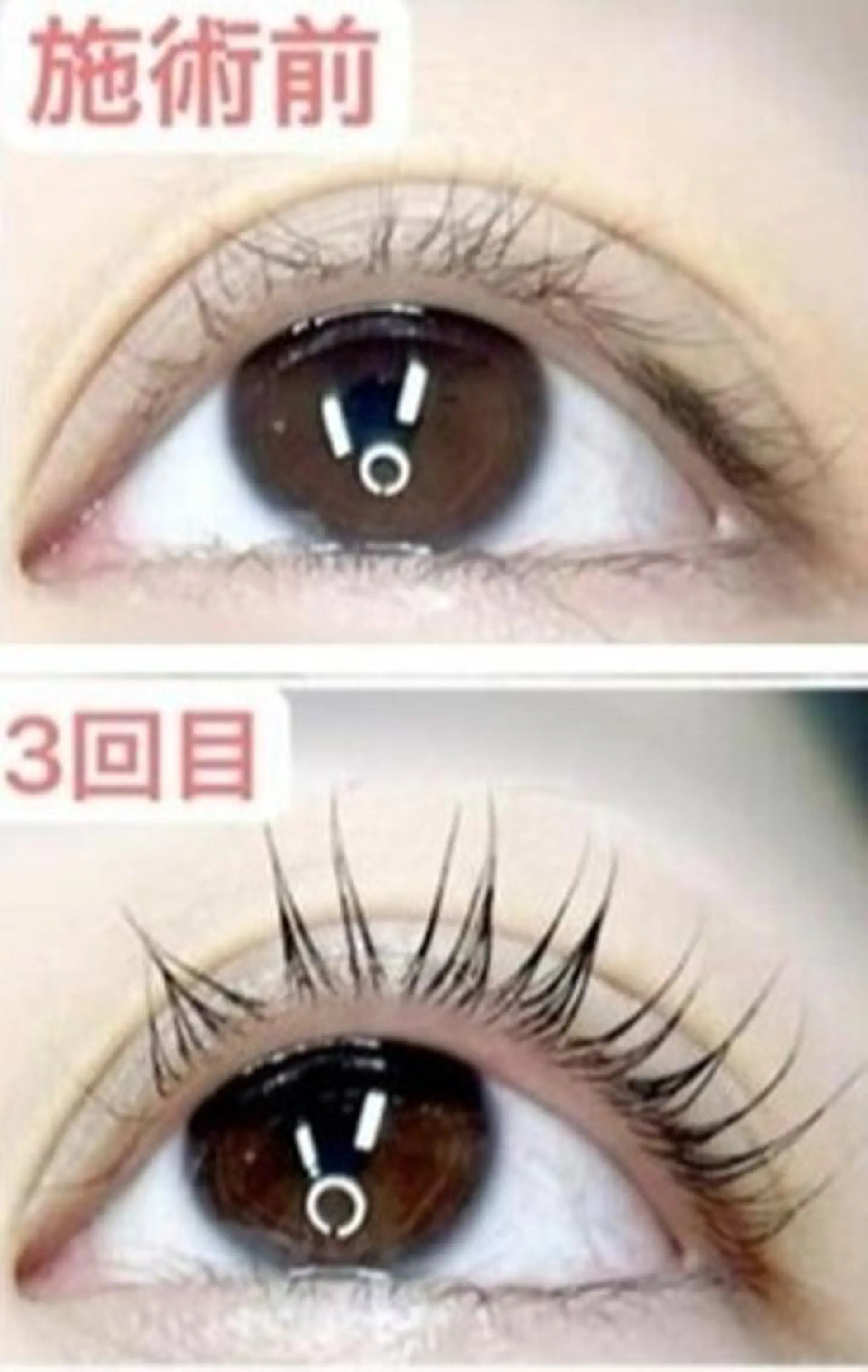 マツエク・マツパ エクステパーマツイン ズ恋＆eyeのマツエク・マツパデザイン