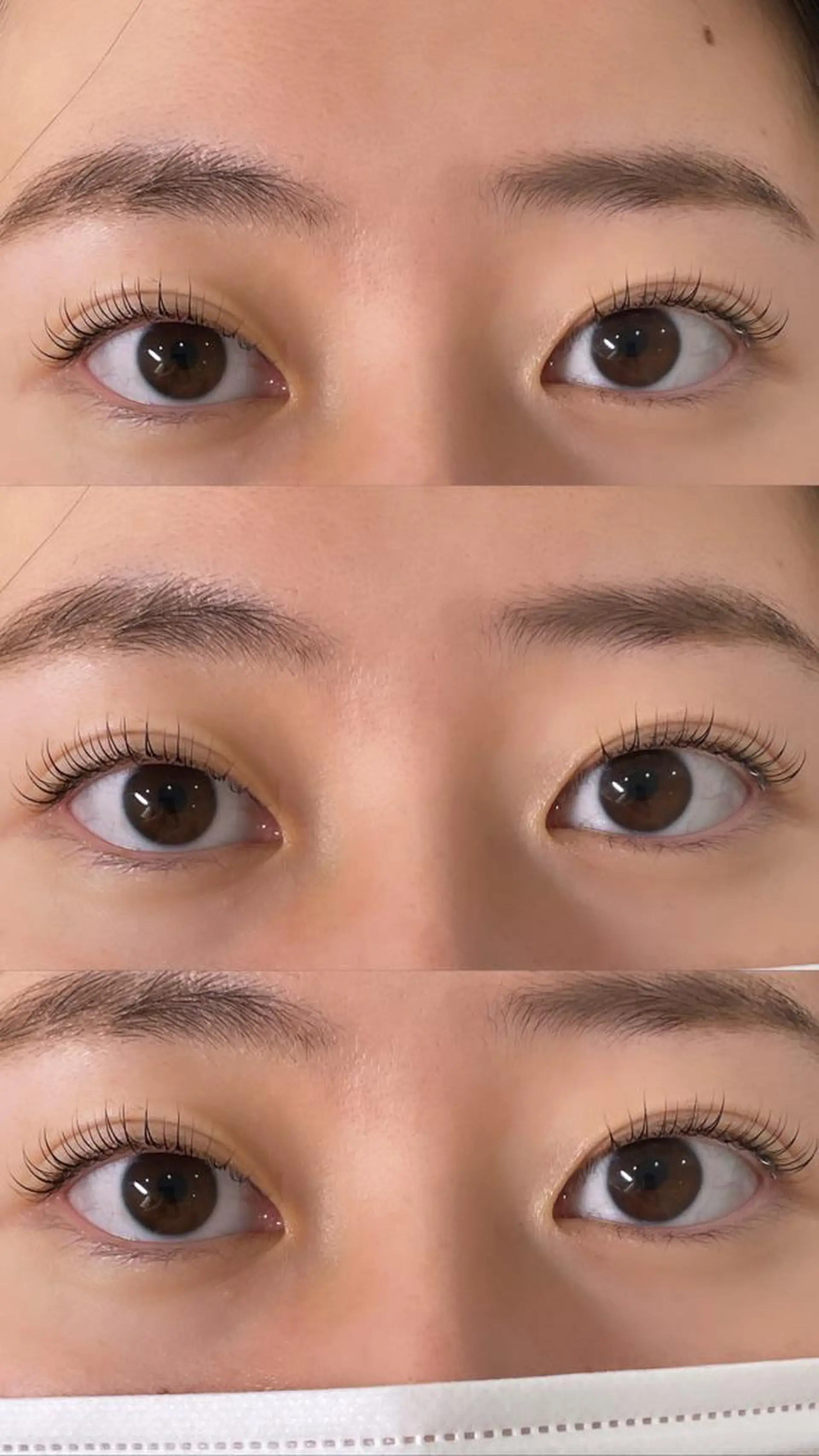 マツエク・マツパ キュート マツパ GO TODAY シェアサロン 銀座Eclara店所属・mihiro 🐈‍⬛の眉毛・アイブロウイメージ