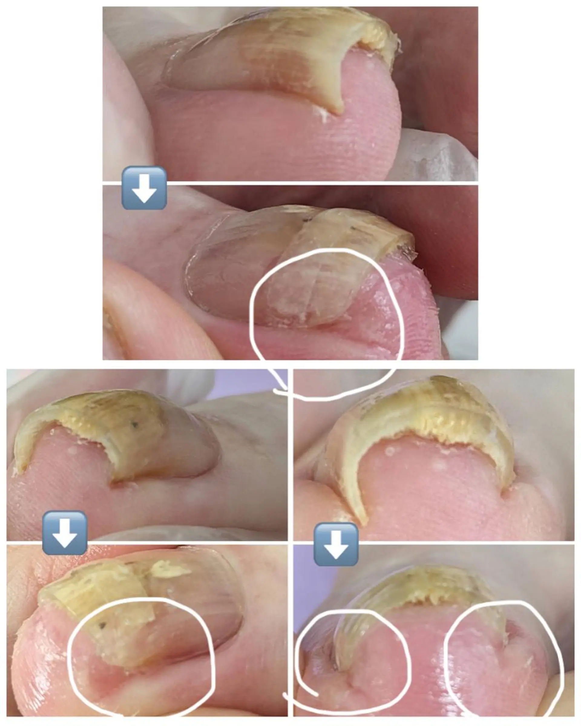 ネイル 和賀井 恵理のネイルデザイン