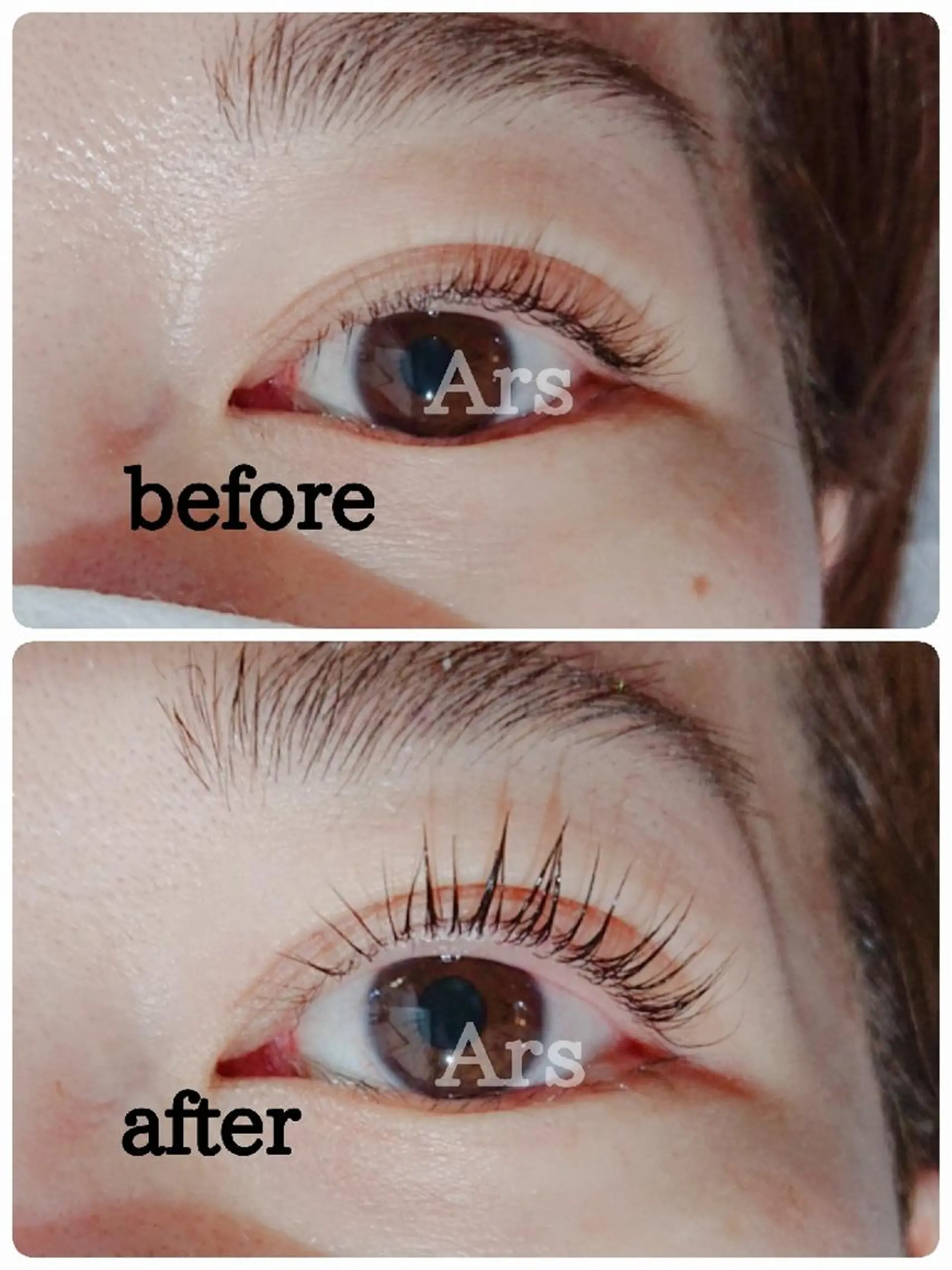 マツエク・マツパ アイリッドアップパーマ Ars      (ｱﾙｽ)のマツエク・マツパデザイン