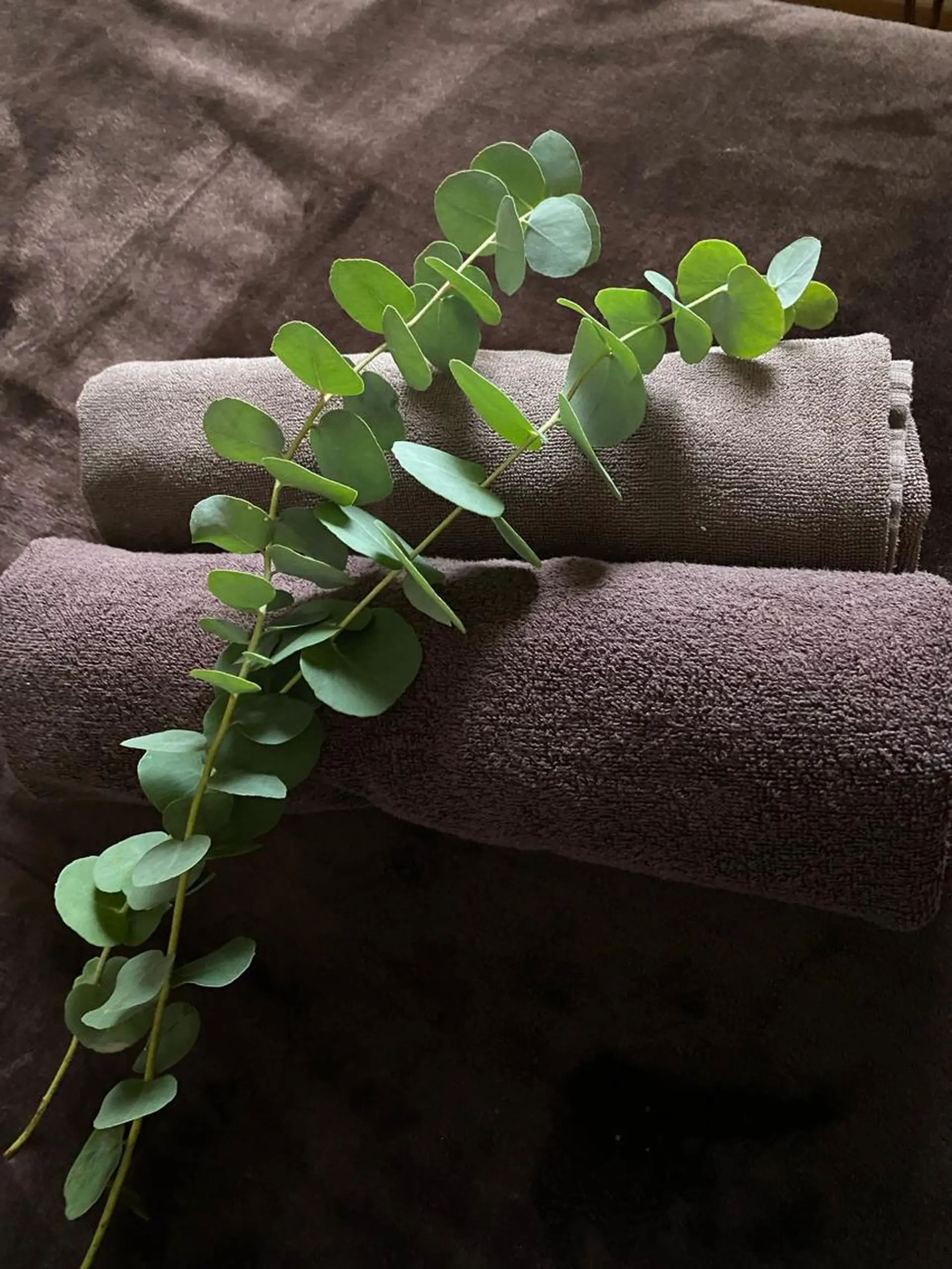 エステ salon stri サロンストリのエステ・リラクイメージ