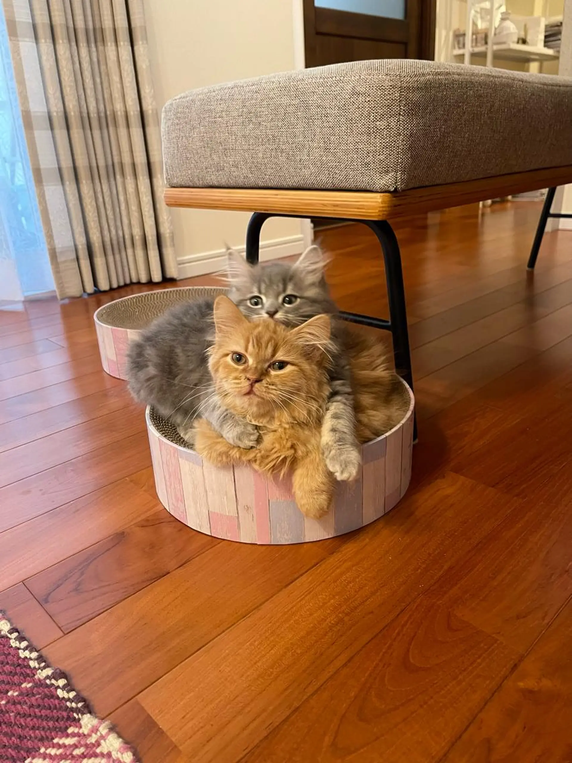 Ayako Iriyamaのエステ・リラクイメージ