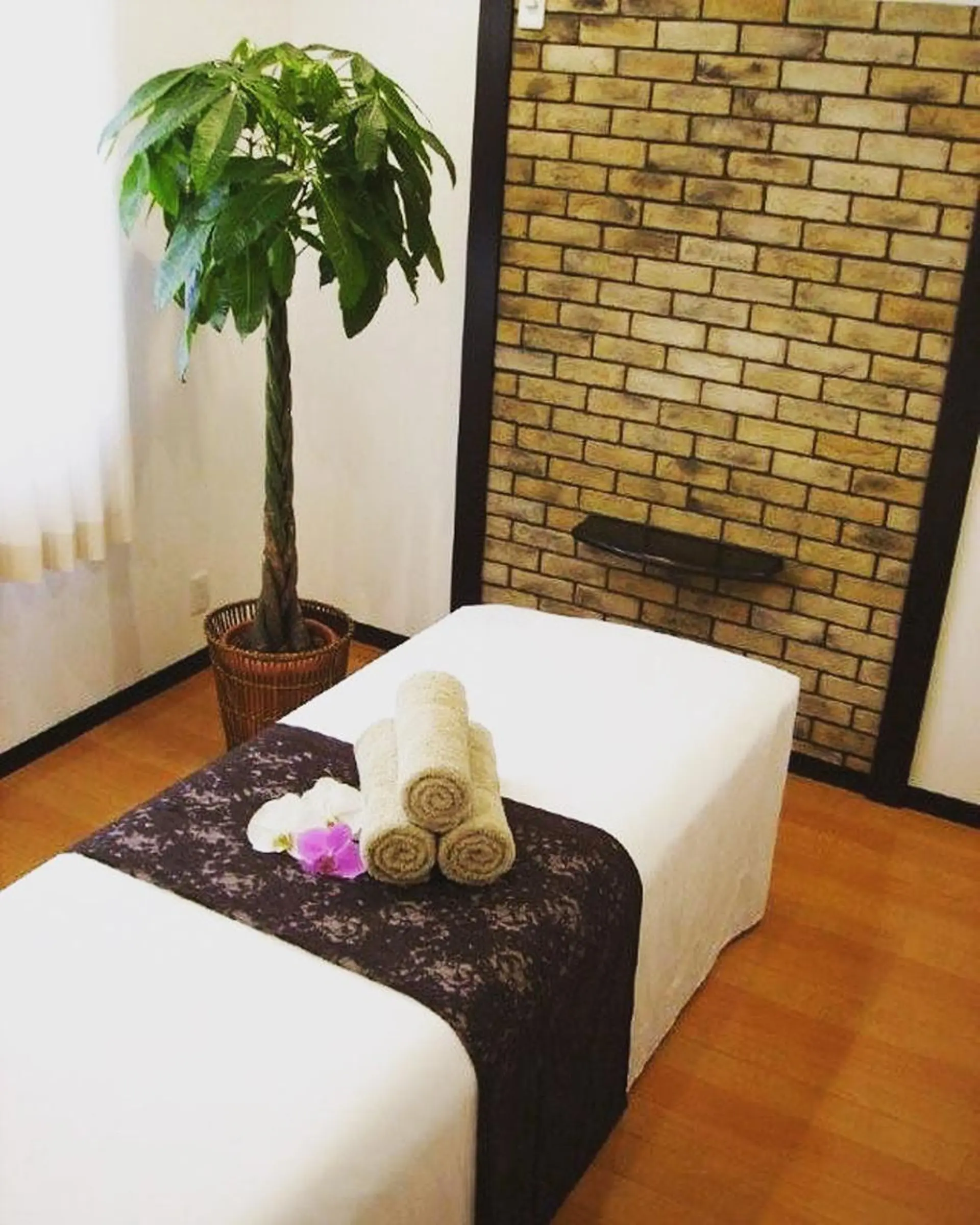 美容鍼灸サロン　TIARA所属・鍼灸サロン TIARA　美容鍼のエステ・リラクイメージ