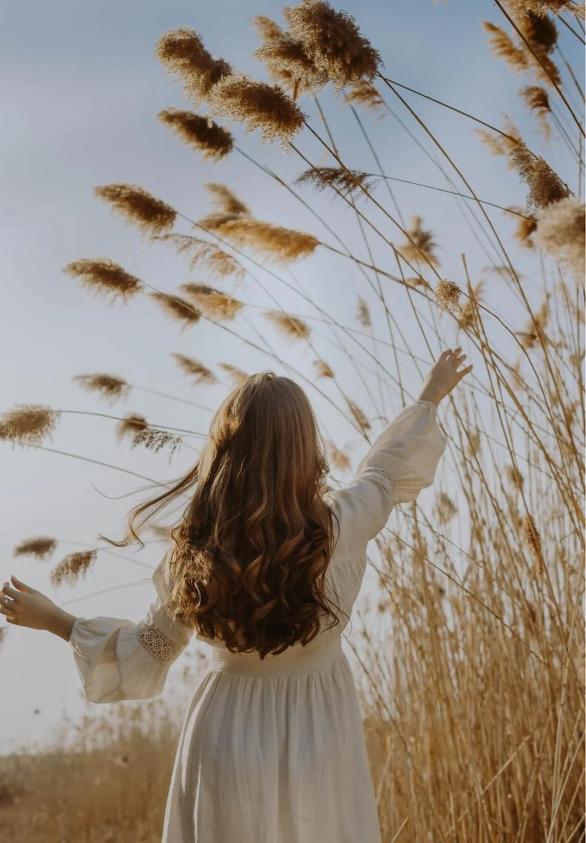 マツエク・マツパ アイブロウ Bliss eyes canele【ブリスアイズカヌレ】所属・Bliss eyes 都島/ CHIKAの眉毛・アイブロウイメージ