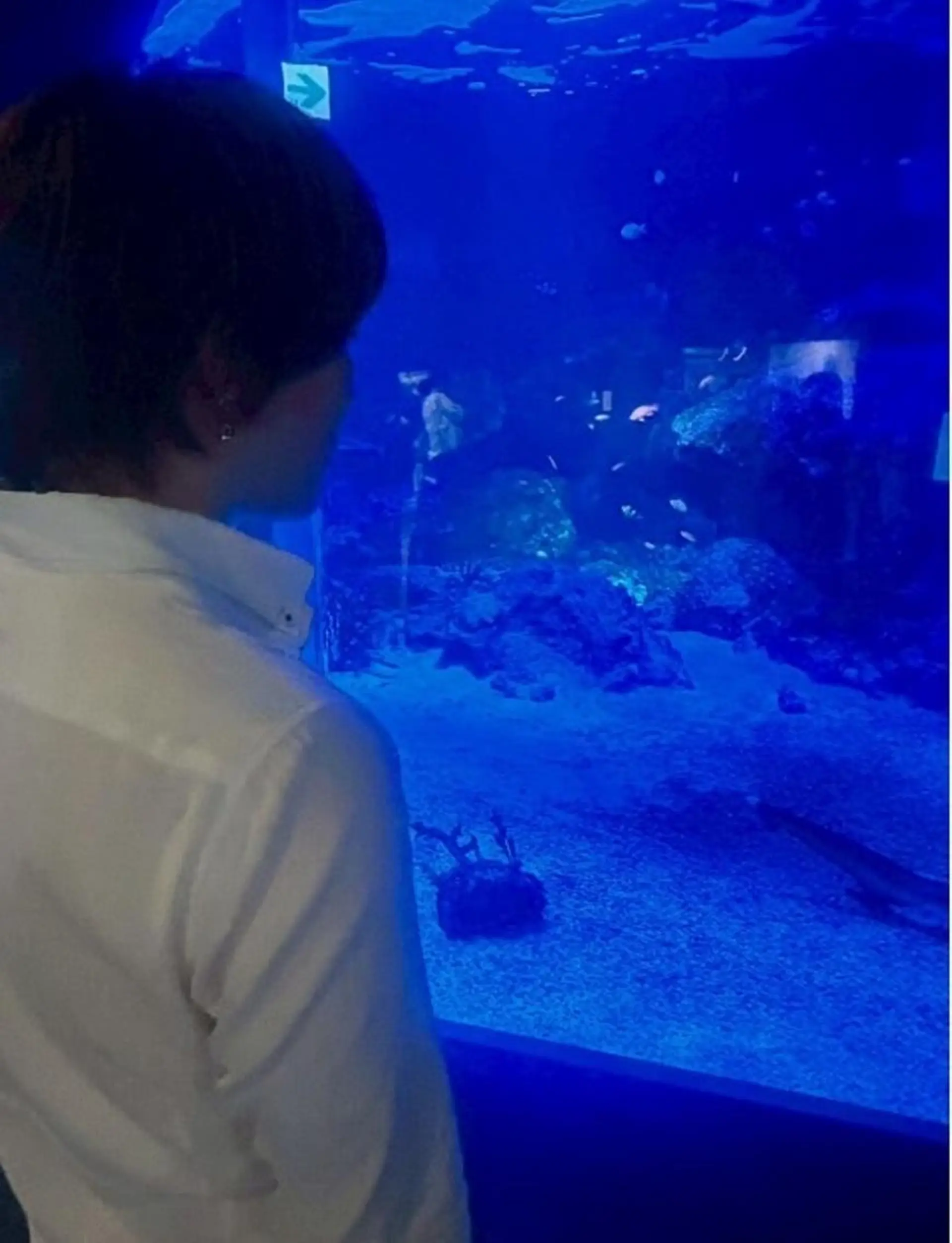 ネイル ホワイト ホワイトニングサロン nico西葛西店のその他イメージ