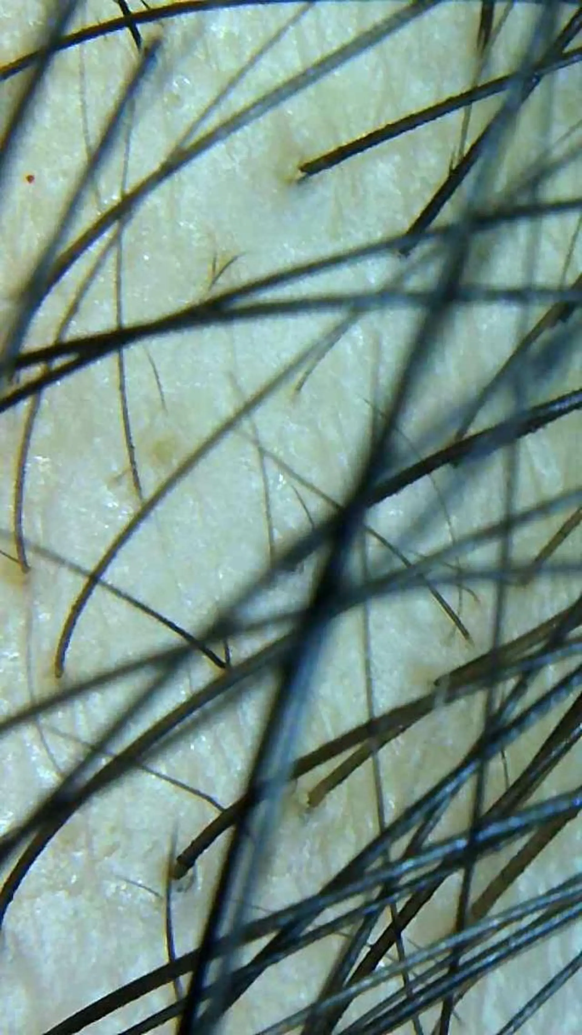 その他 セントラル鍼灸院 Re:laxyのヘアスタイル