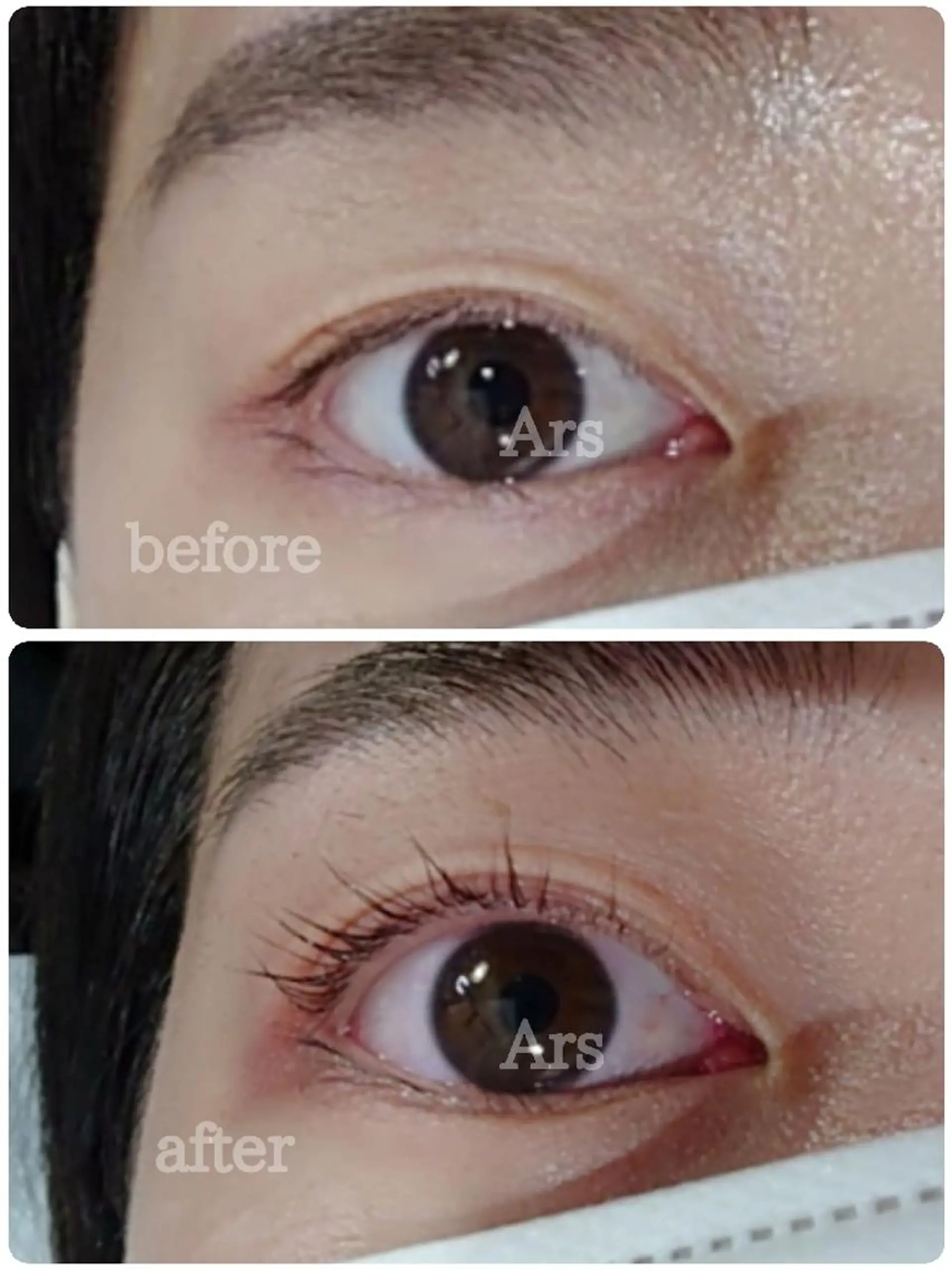 マツエク・マツパ アイリッドアップパーマ Ars      (ｱﾙｽ)のマツエク・マツパデザイン