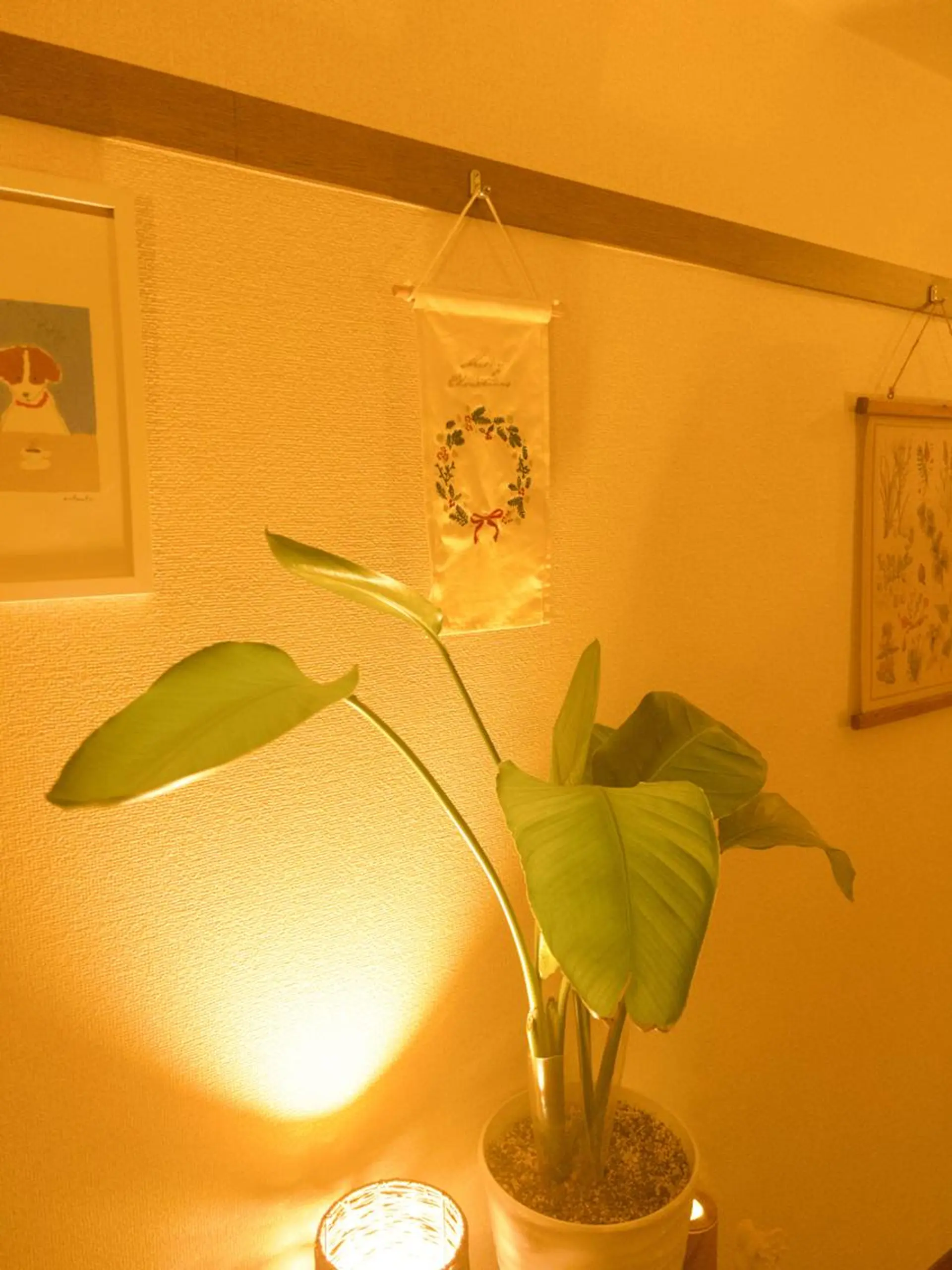 横浜ドライヘッドスパ のBlankのエステ・リラクイメージ