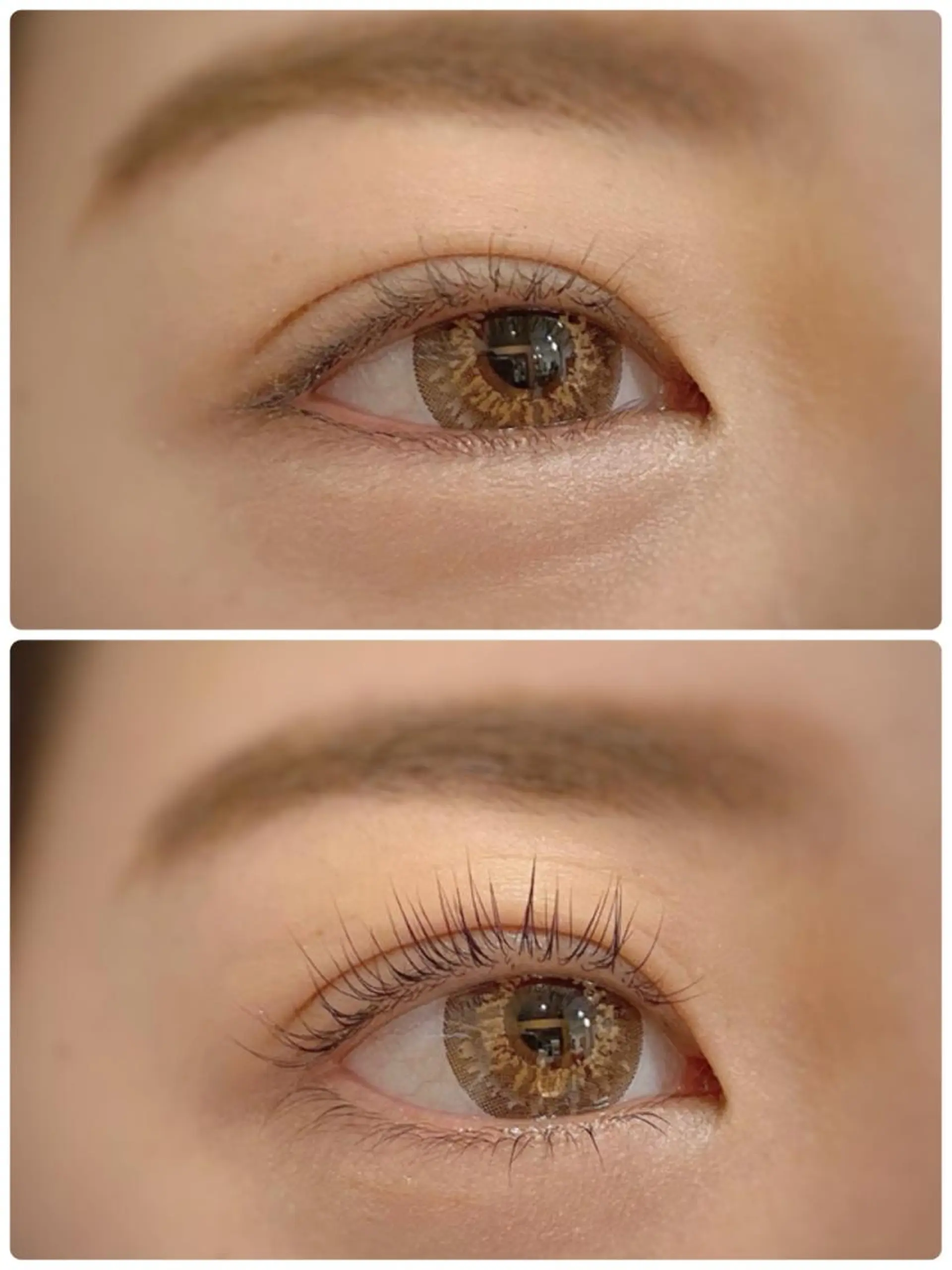 マツエク・マツパ 眉毛まつ毛専門店 uralogeのマツエク・マツパデザイン