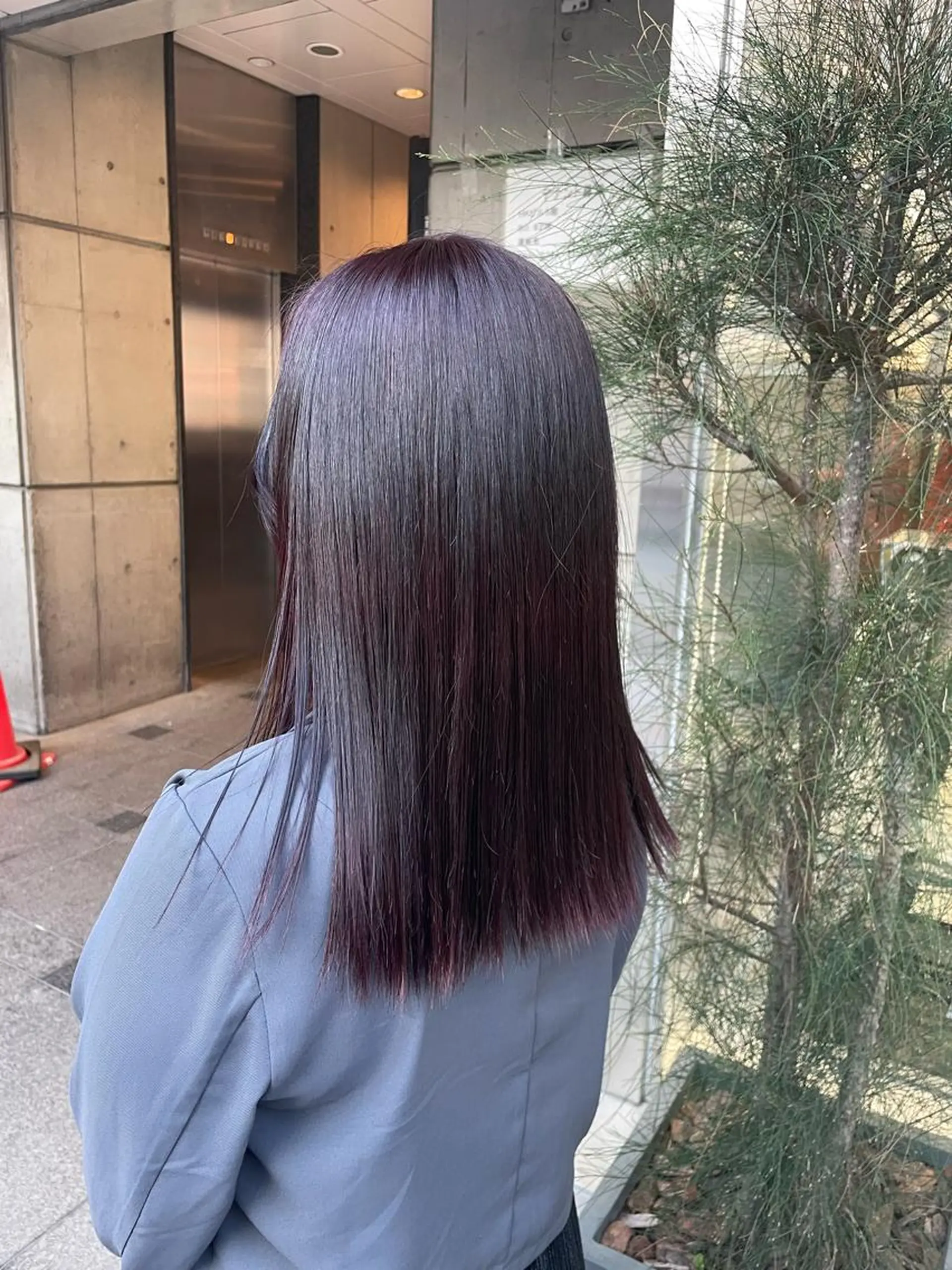 セミロング カラー ヘアカラー 🧁はるひ/ ZEST Ivy🎀のヘアスタイル