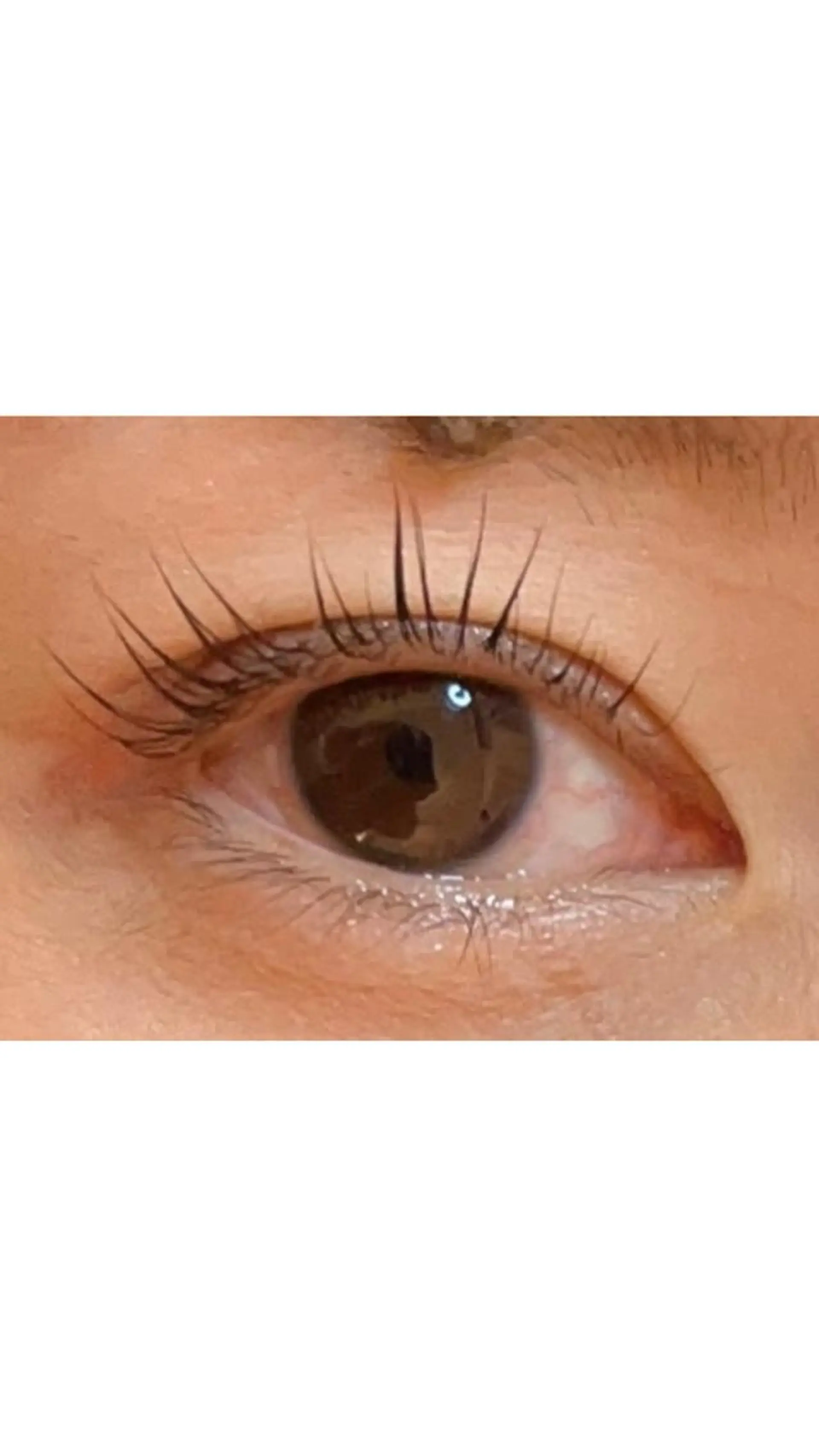 マツエク・マツパ パリジェンヌラッシュリフト マツエク ♡tiana juna˖ ࣪⊹のマツエク・マツパデザイン