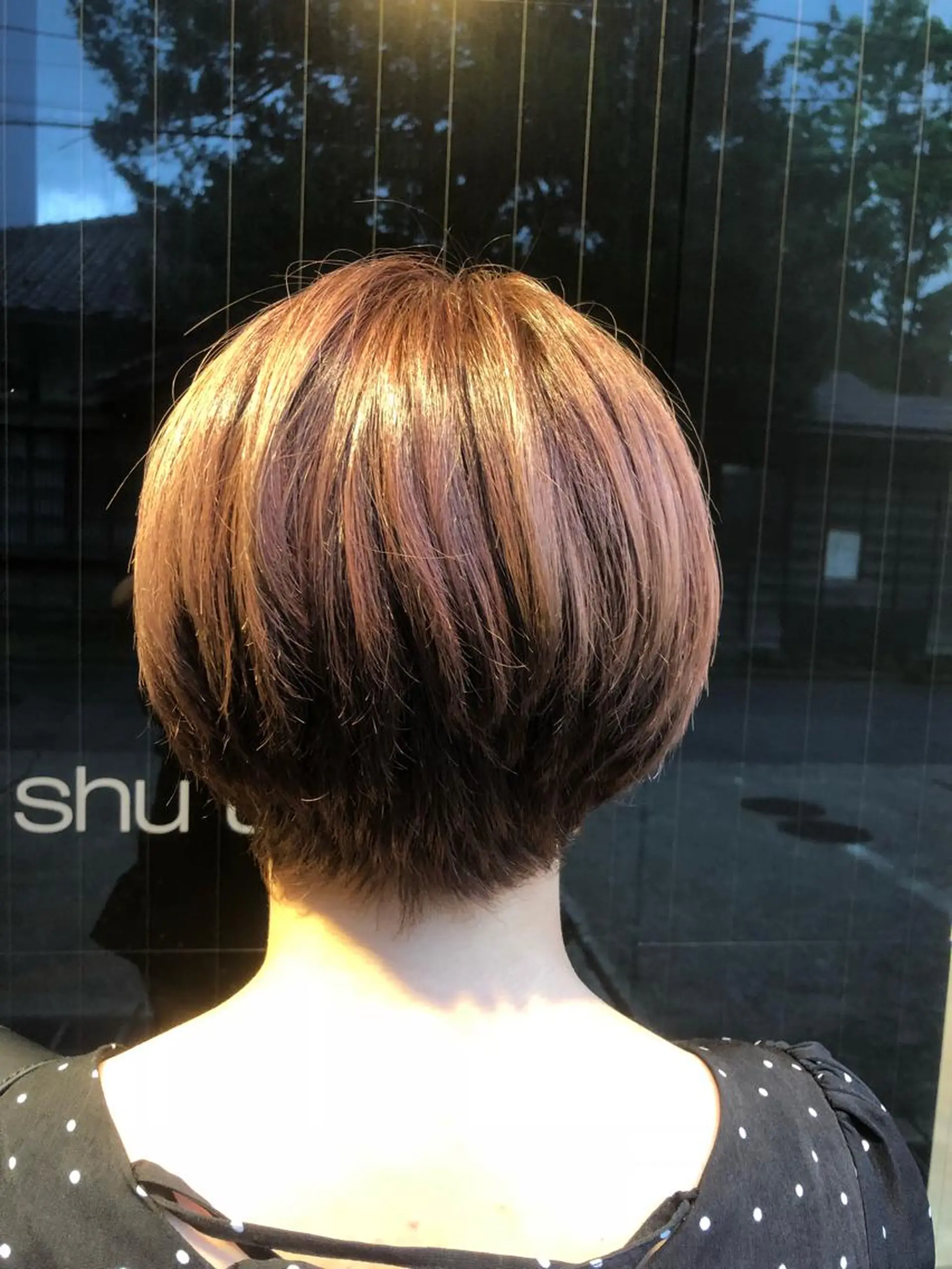 ショート カラー コレットヘアー 田中アヤノのヘアスタイル