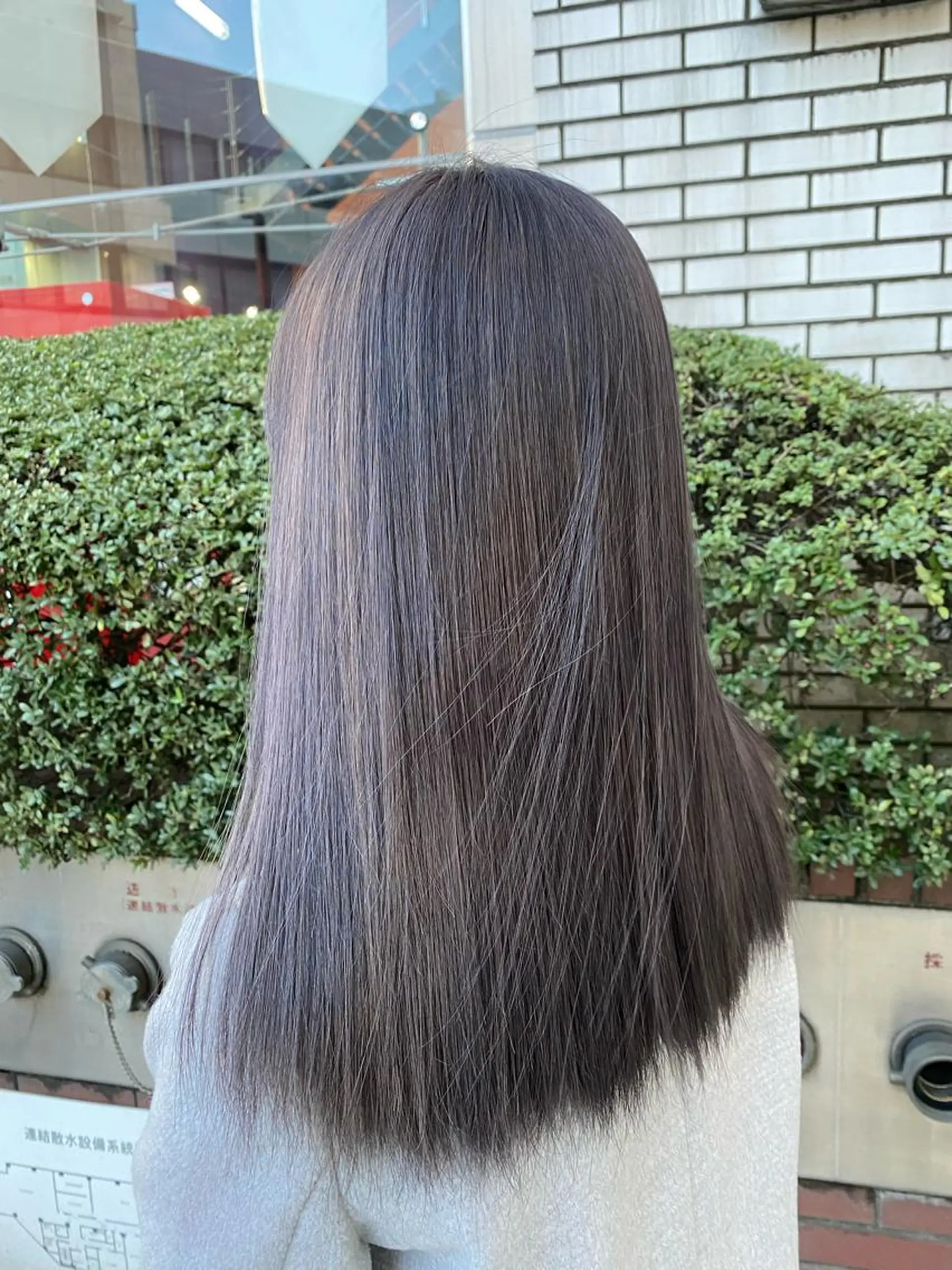 セミロング カラー グレージュ ラベンダーカラー ラベンダーグレージュ ラベンダーグレー 遠藤沙也加 /レイヤーカットのヘアスタイル