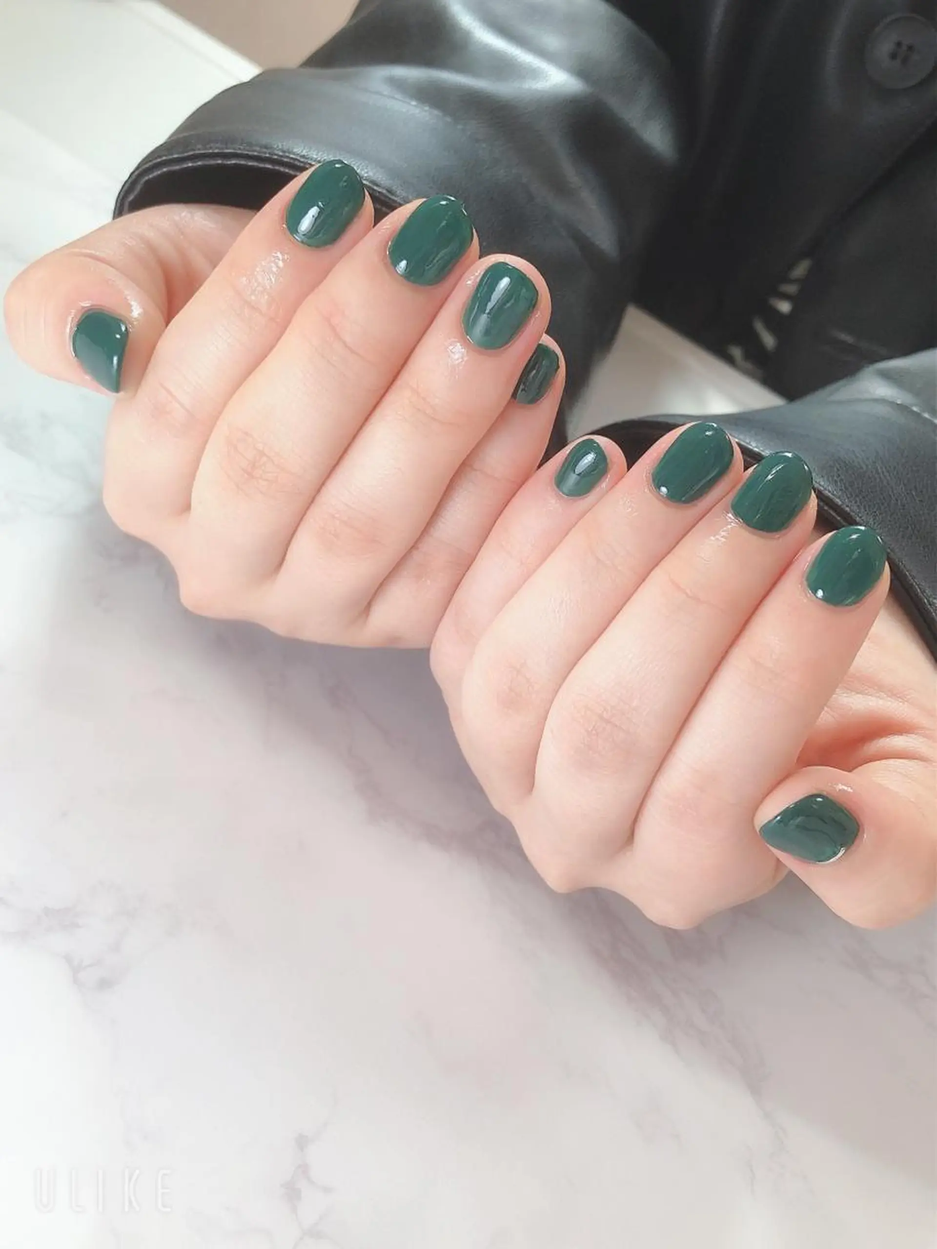 ネイル グリーン ワンカラーネイル Nailsalon Luanaのネイルデザイン