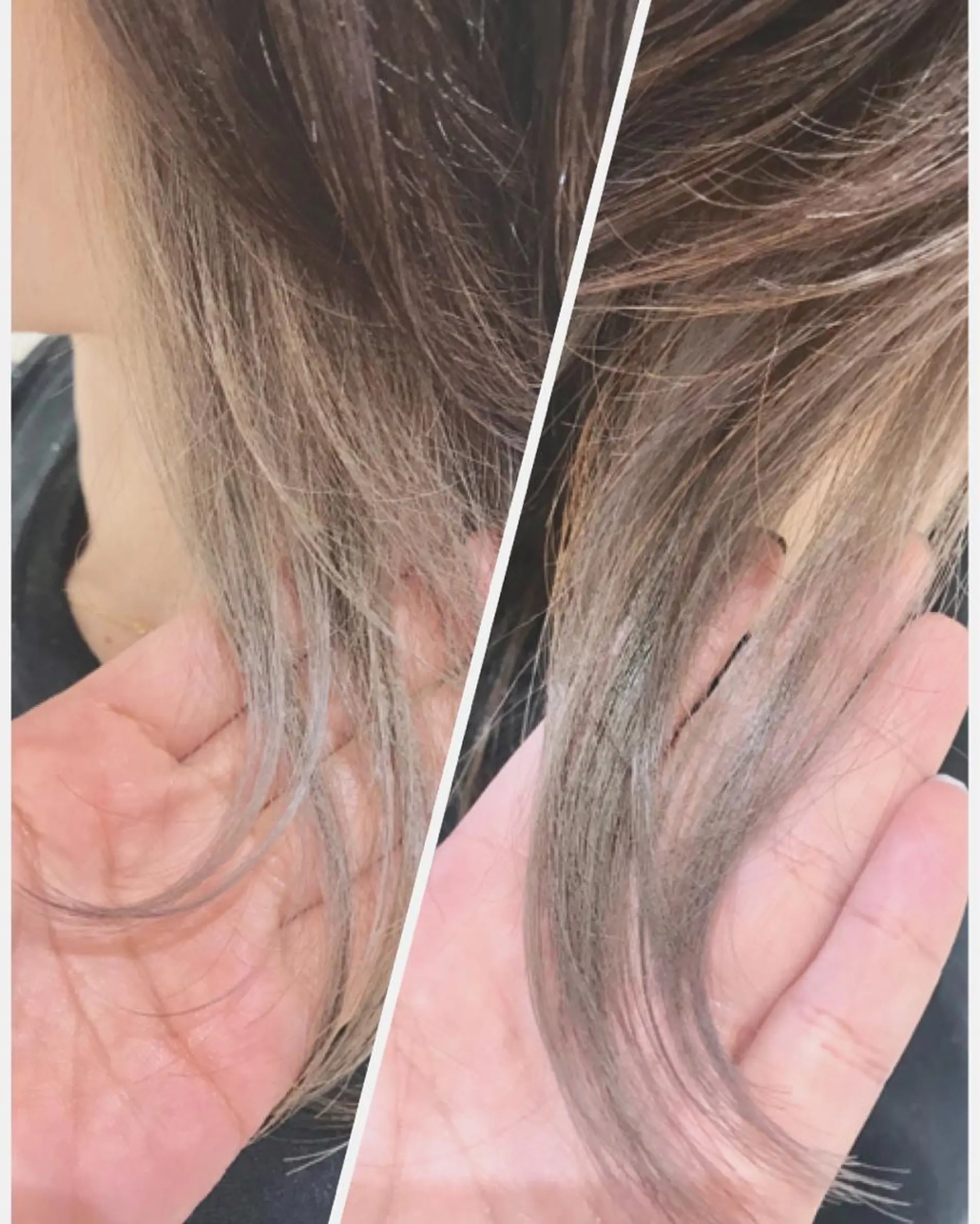 カラー 鈴木 香織のヘアスタイル