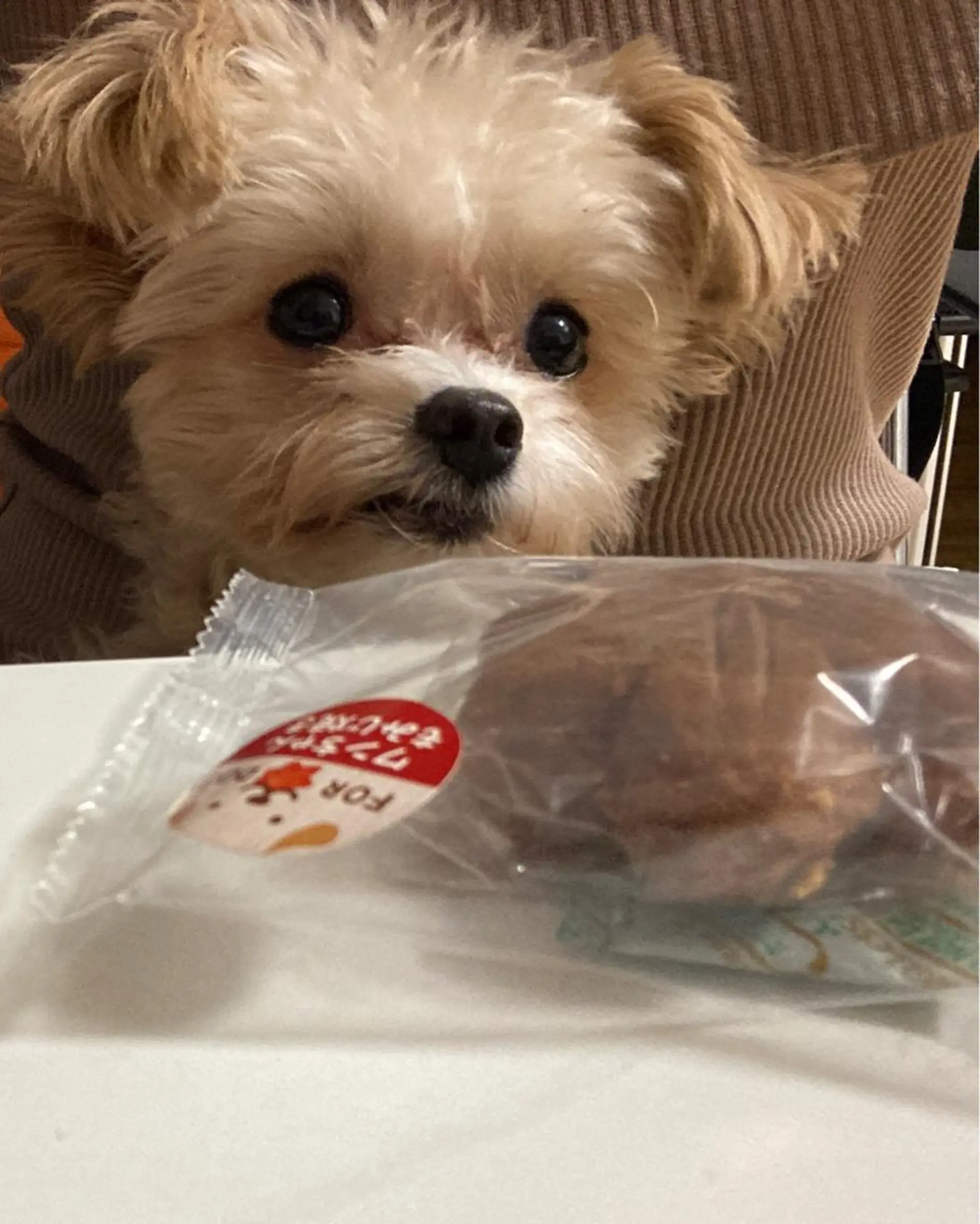 ネイル フットネイル フレンチネイル ジェルネイル ハート キラキラネイル フットネイル 韓国ネイル/新大久保 4分　【Toko】のネイルデザイン