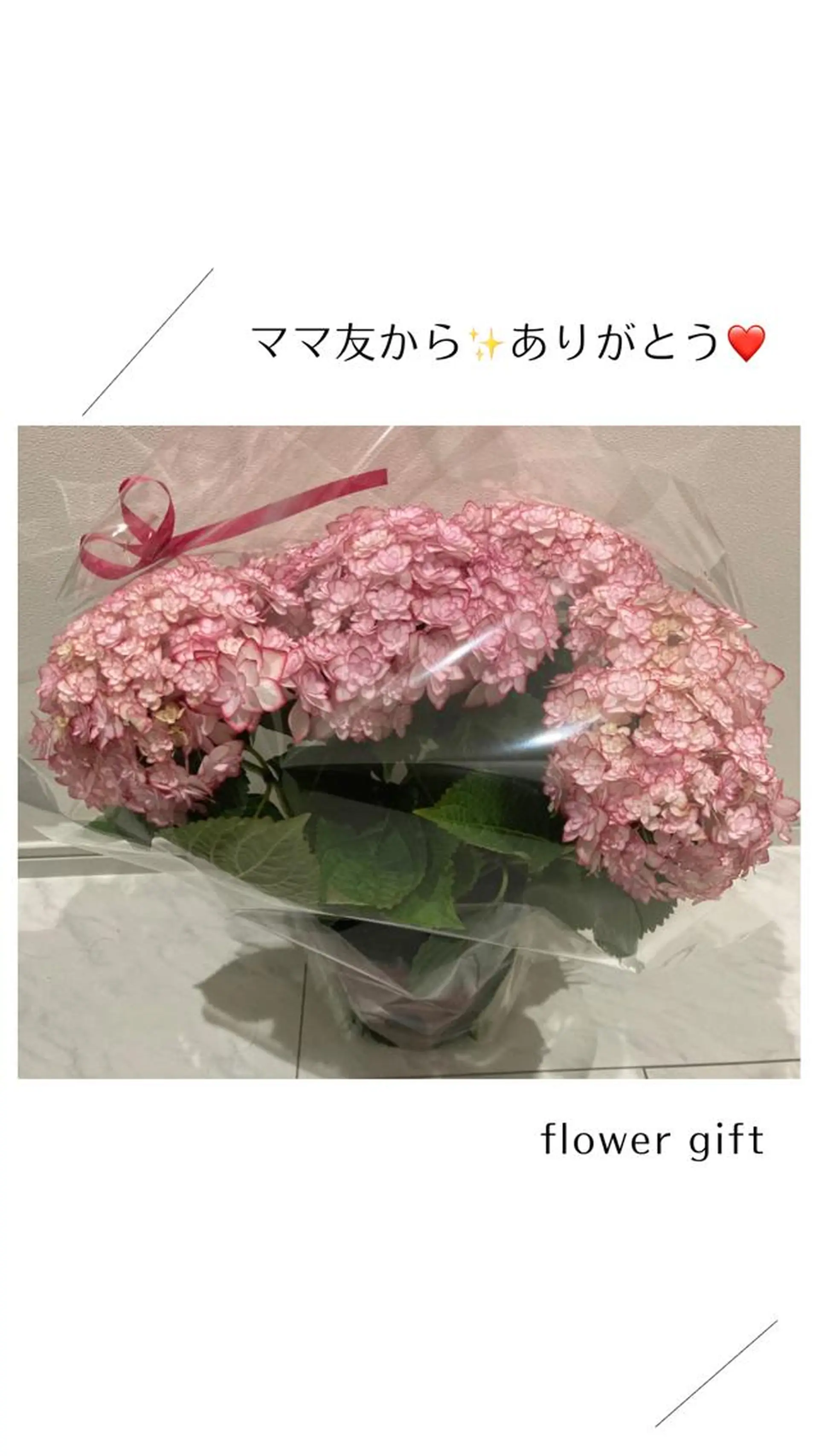 フェイシャルサロン ビアンカガーデンのエステ・リラクイメージ