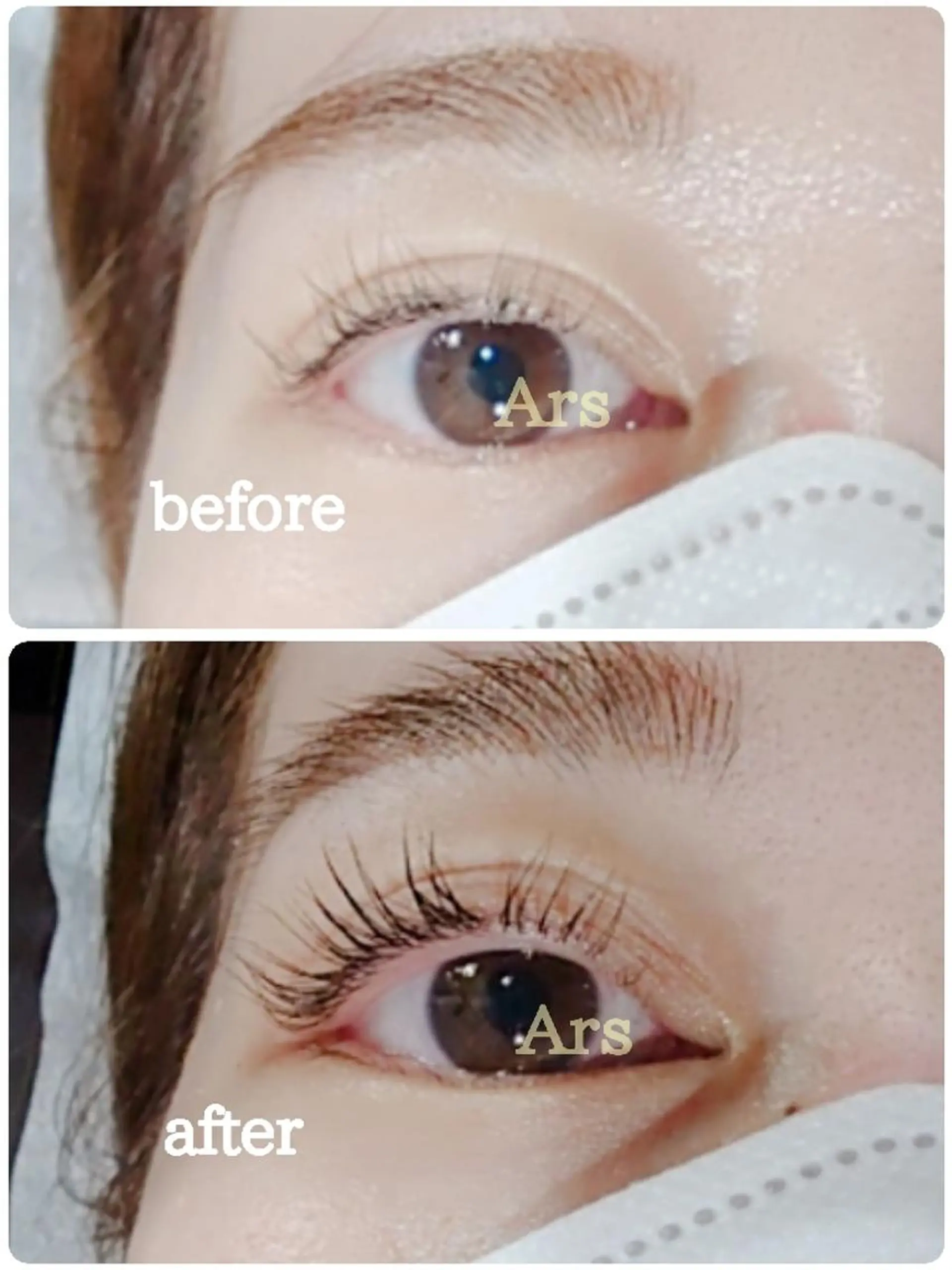 マツエク・マツパ アイリッドアップパーマ Ars      (ｱﾙｽ)のマツエク・マツパデザイン