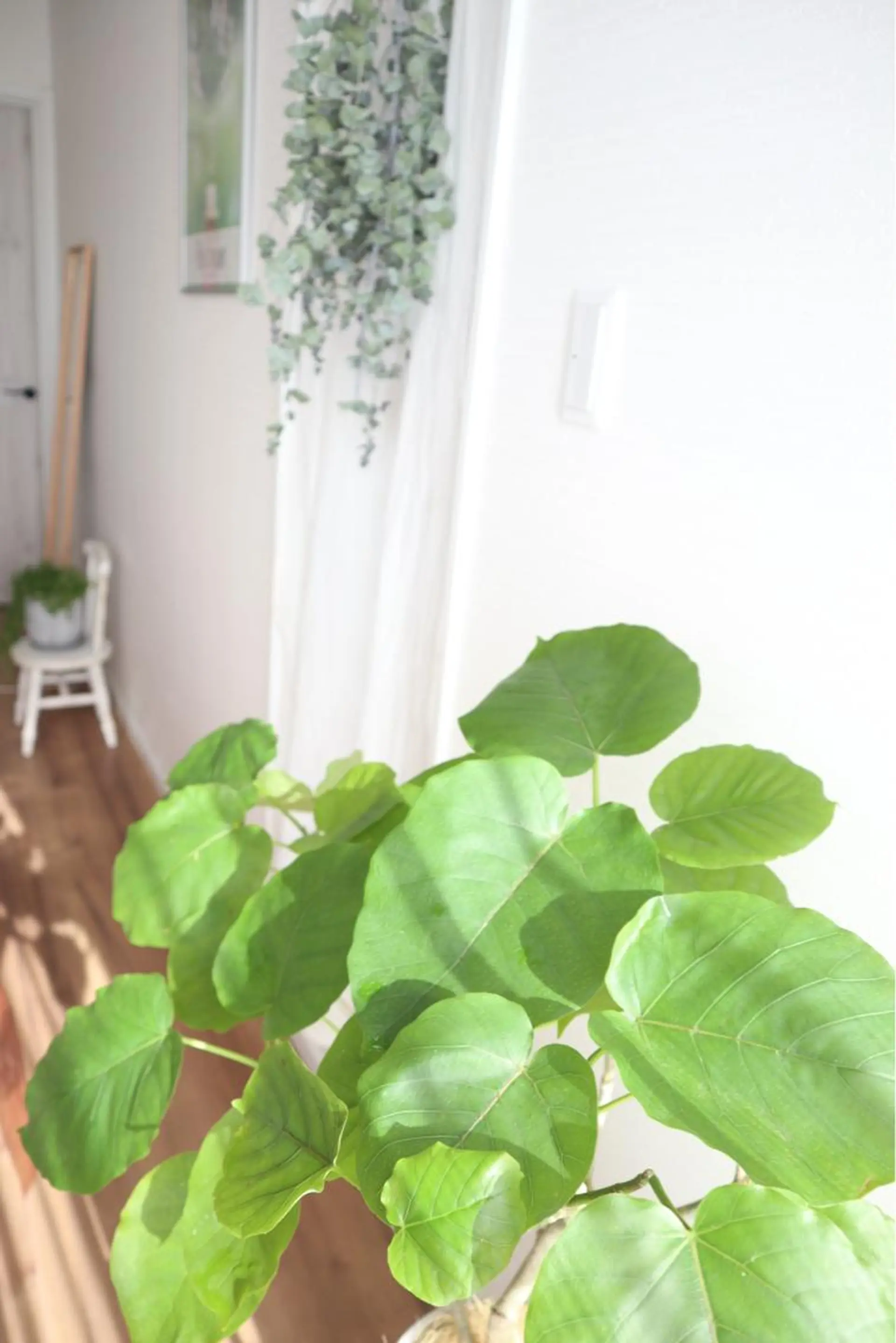 井貝 かおりのエステ・リラクイメージ