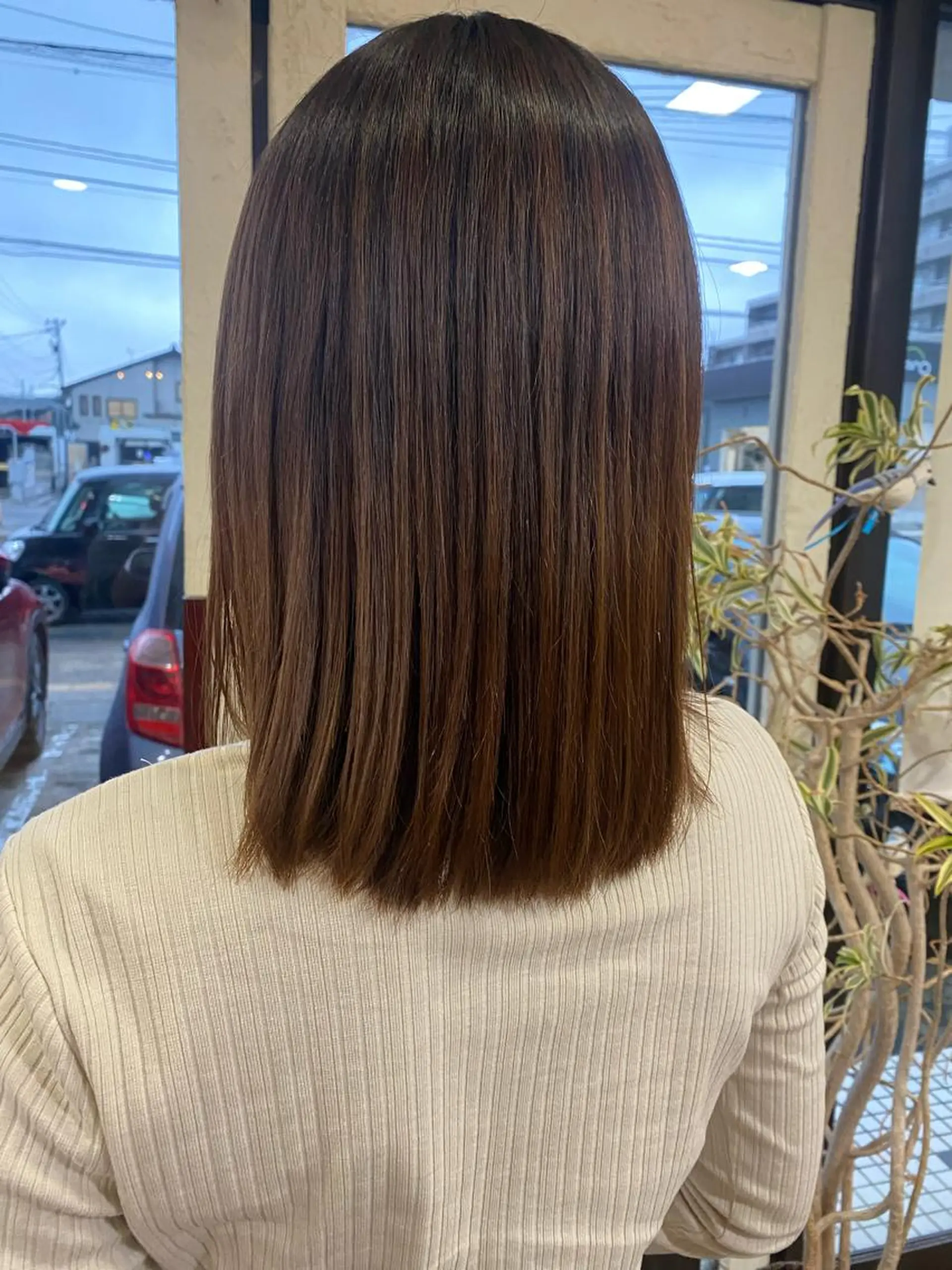 ミディアム 立野 希沙のヘアスタイル