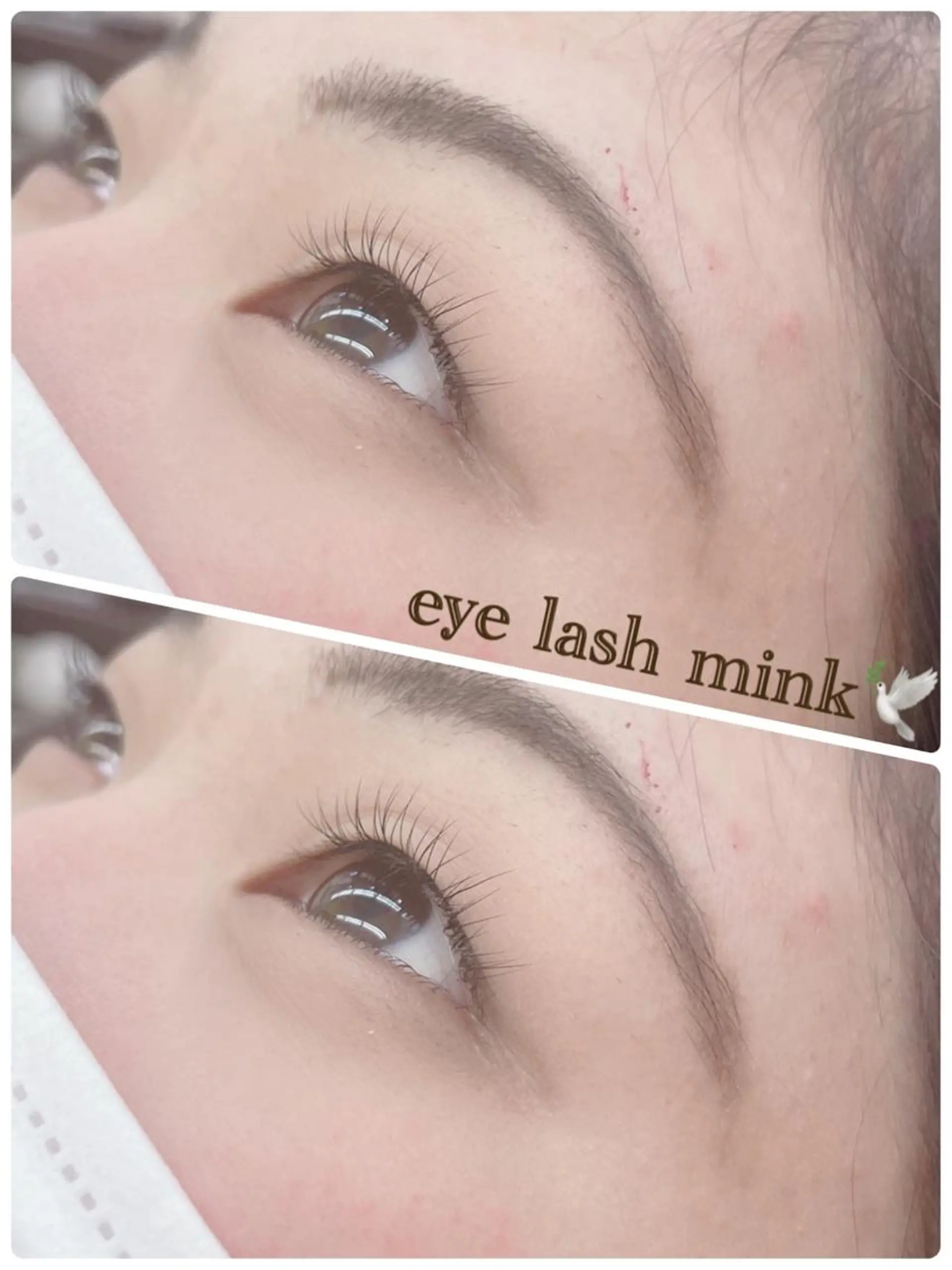 マツエク・マツパ キュート WE RULE 札幌店 【ウィールール 札幌店】所属・✨️大人ショート 髙橋朋花のヘアスタイル