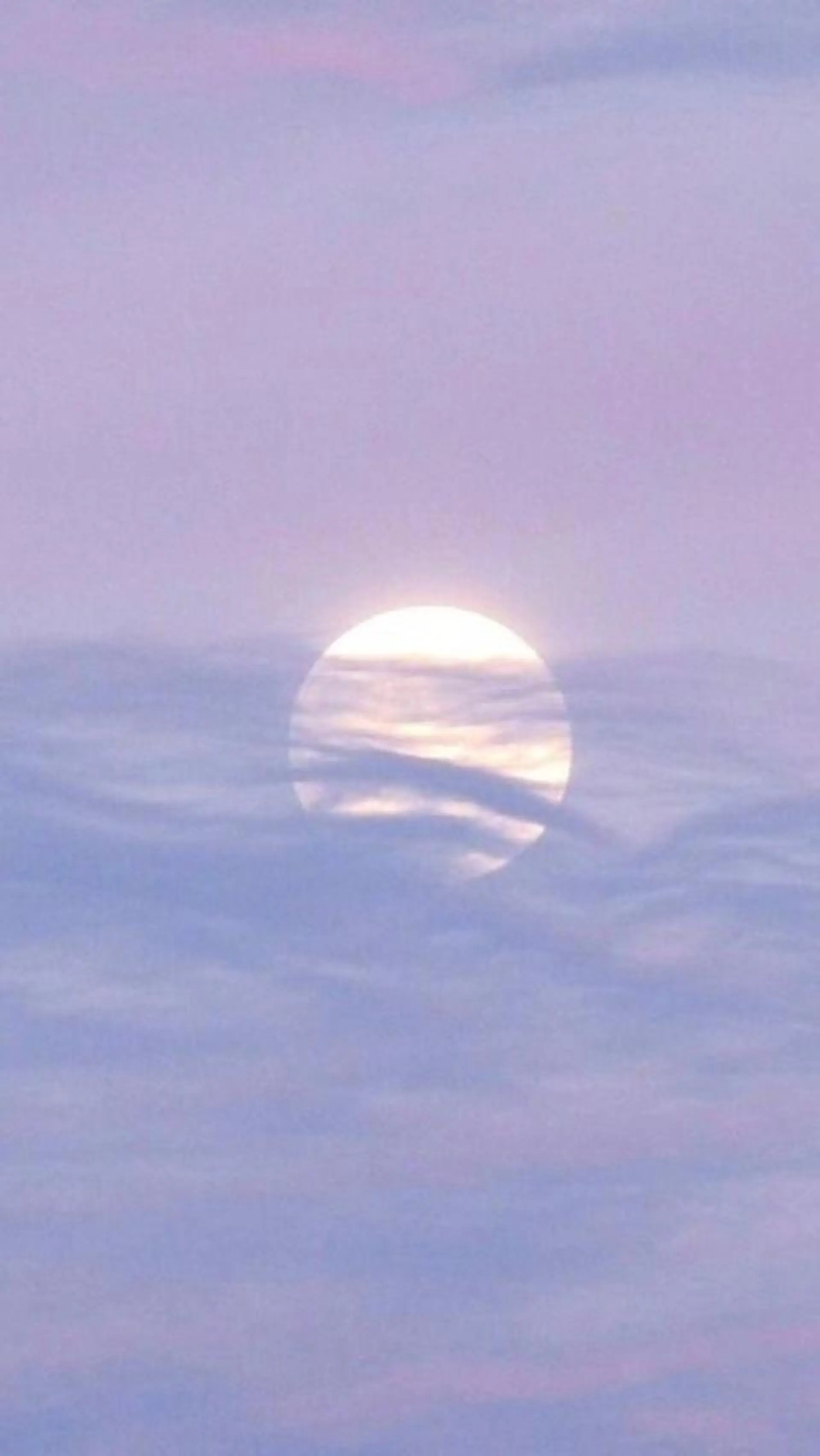 ∴Sanae. ∴ トータルビューティーのマツエク・マツパデザイン