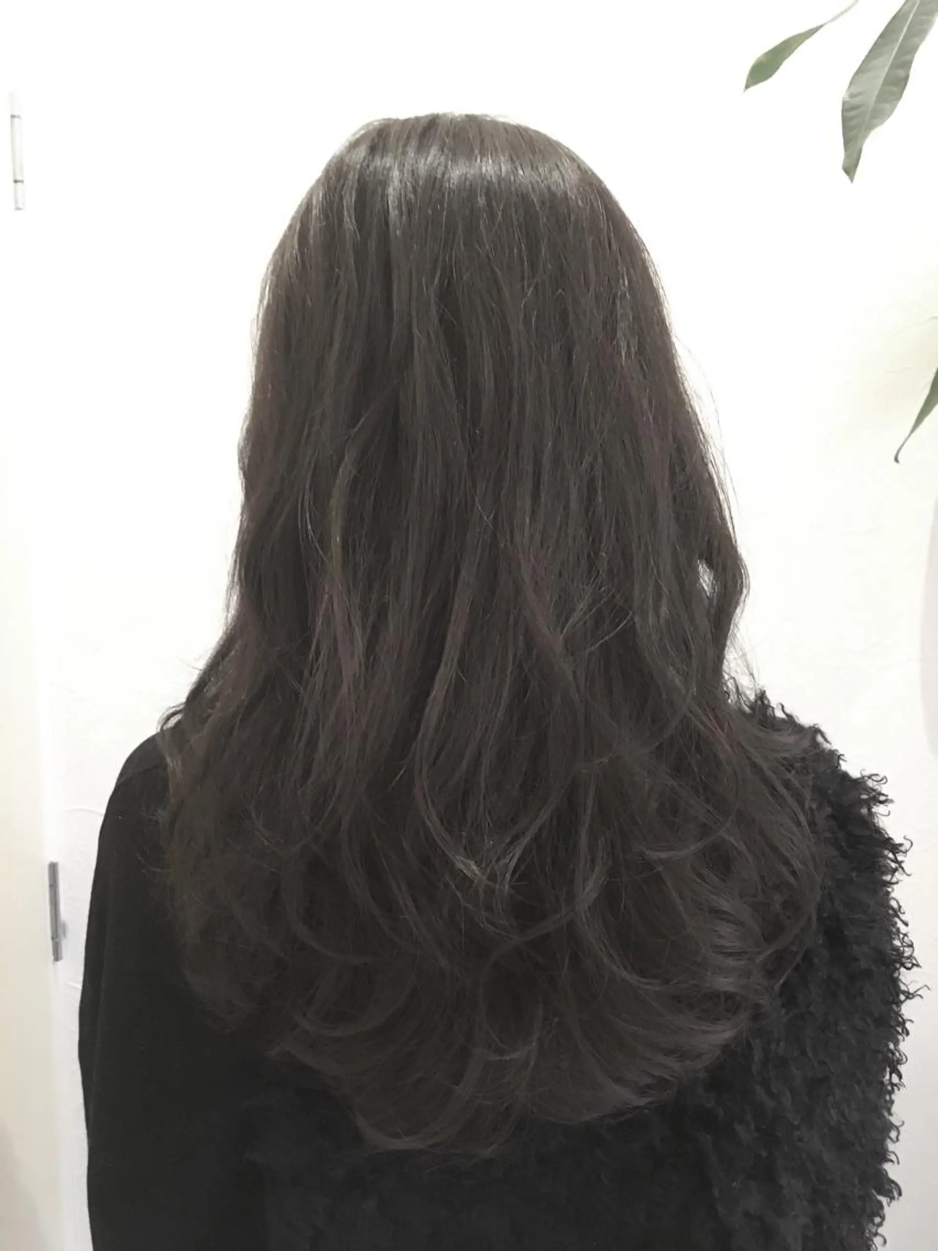 セミロング ロング カラー アッシュ アッシュブラック 黒髪 IVY villa Suzu.のヘアスタイル