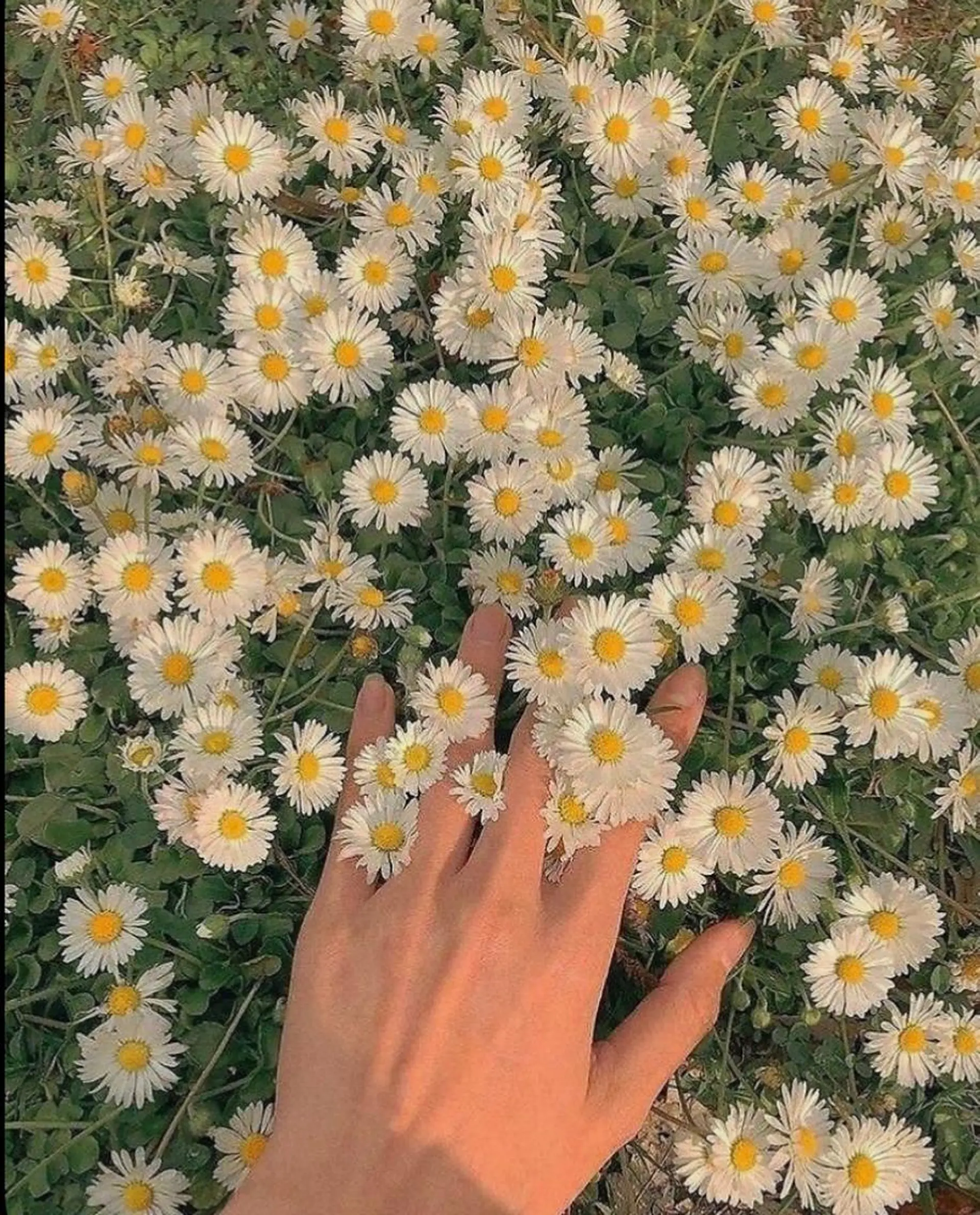 マツエク・マツパ 美髪・シールエクステ ホソタニリョウコのヘアスタイル