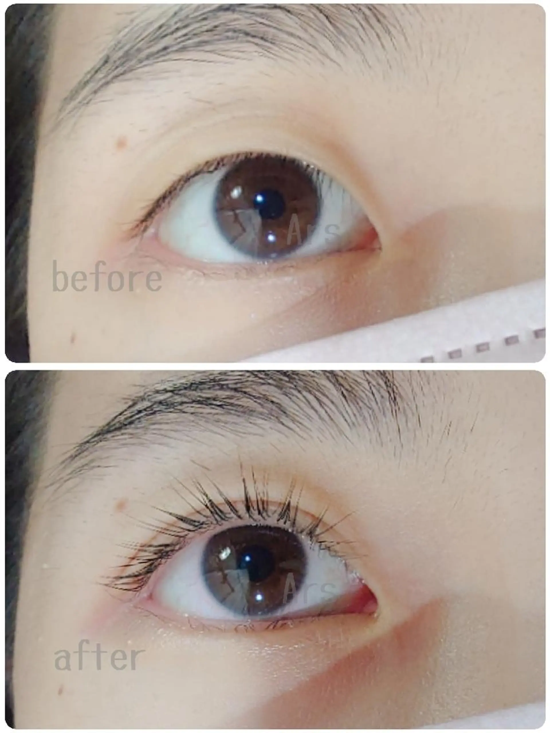 マツエク・マツパ アイリッドアップパーマ Ars      (ｱﾙｽ)のマツエク・マツパデザイン