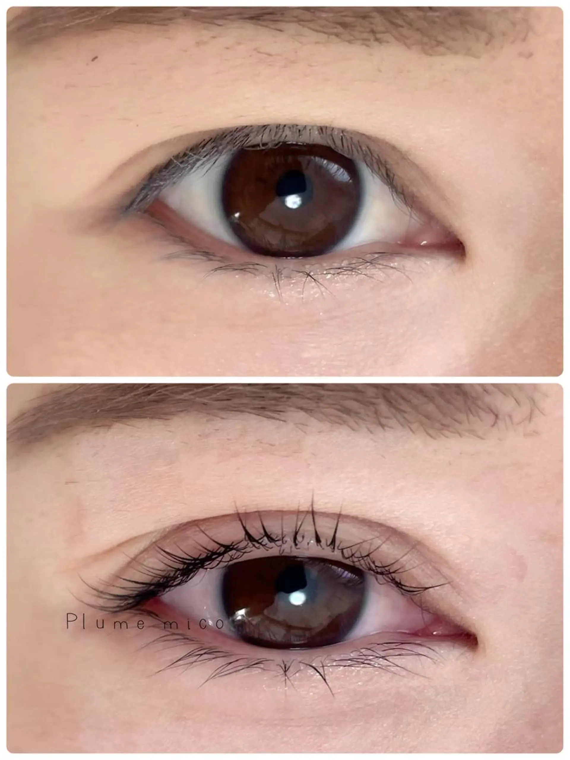 マツエク・マツパ マツパ Plume micoのマツエク・マツパデザイン