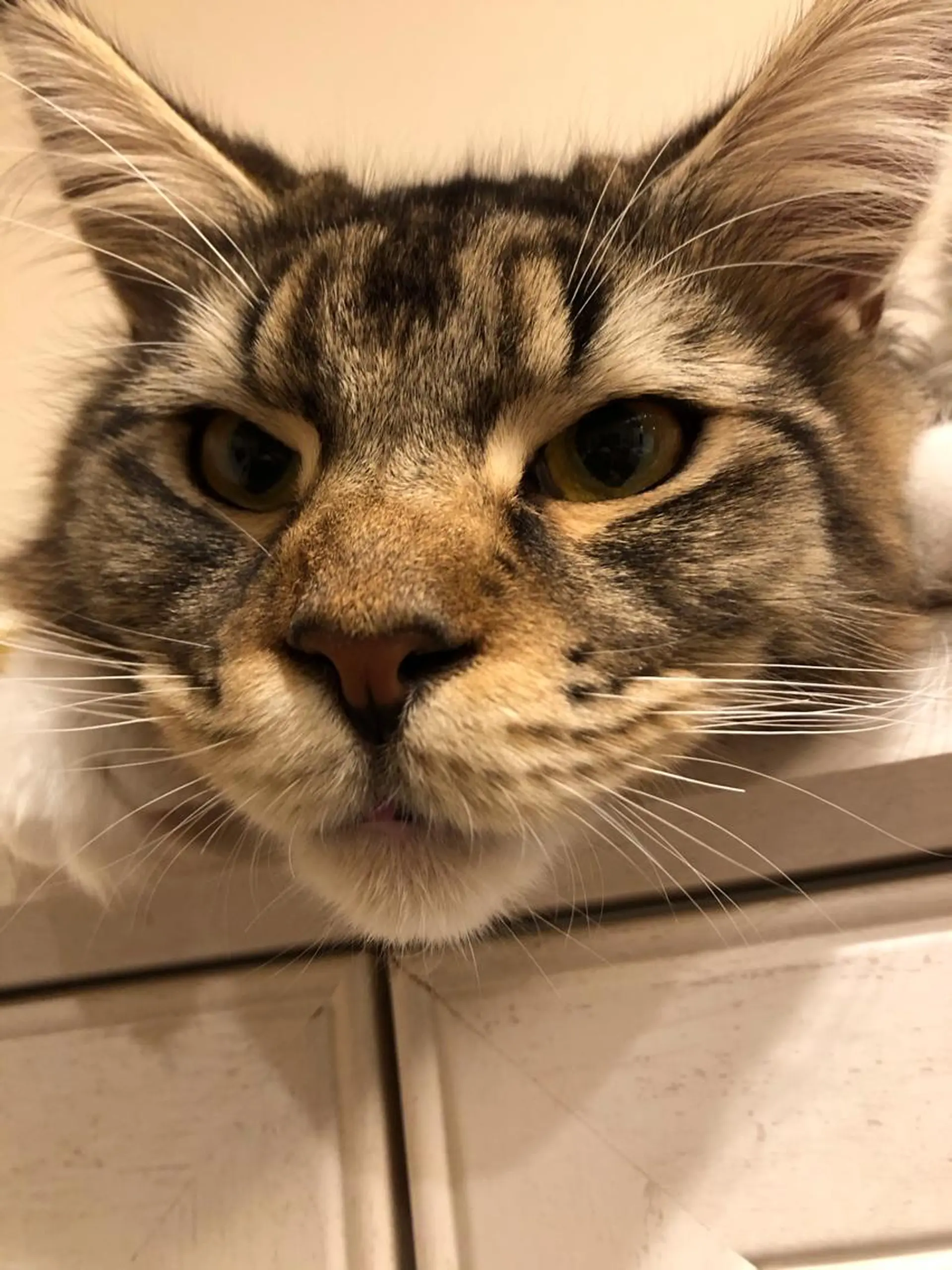 エステ リラク 🐱美容鍼・整体 SBHメディカル👍のエステ・リラクイメージ