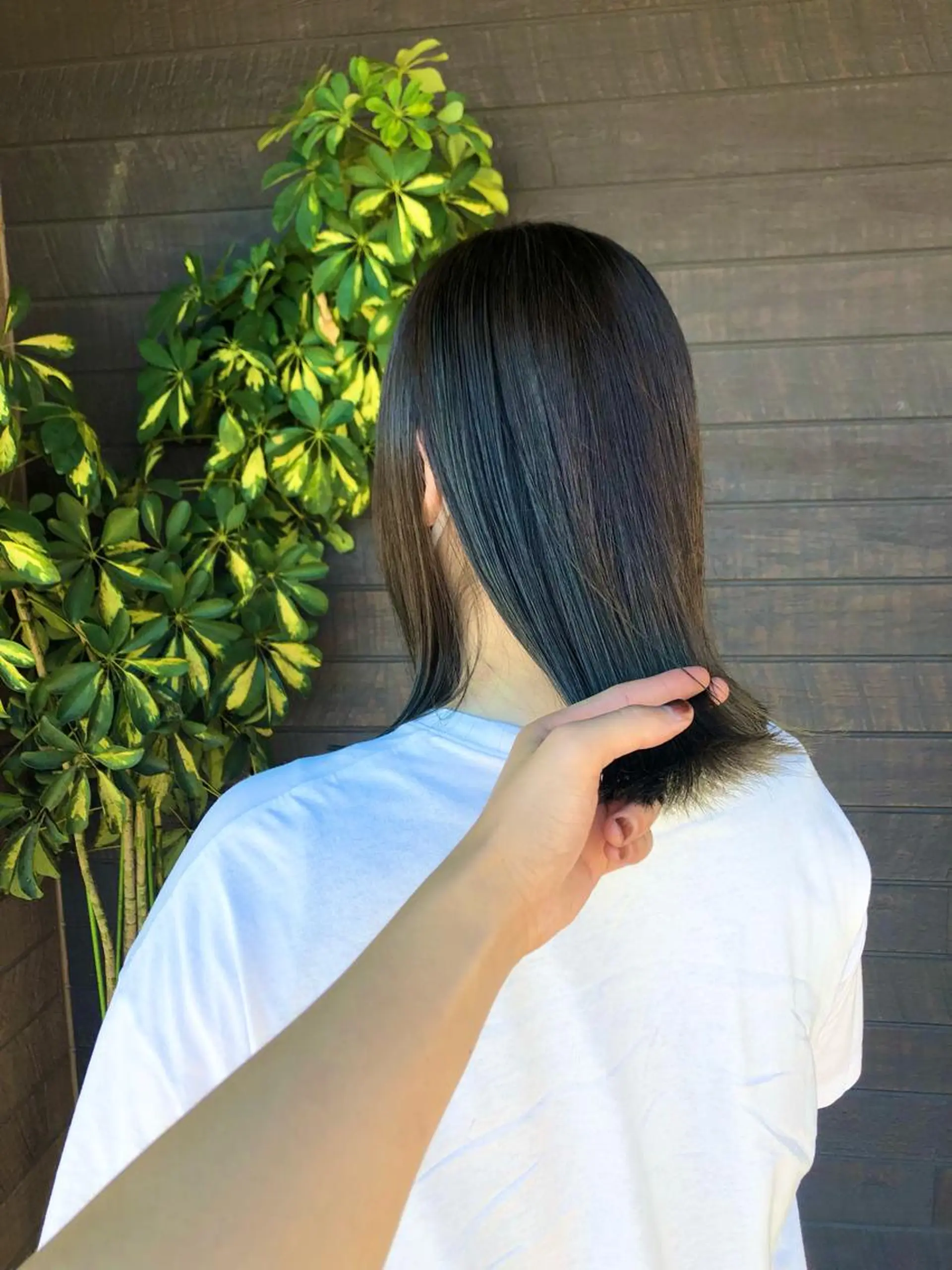 セミロング 太白区/白髪ぼかし ハイライト/千葉達人のヘアスタイル