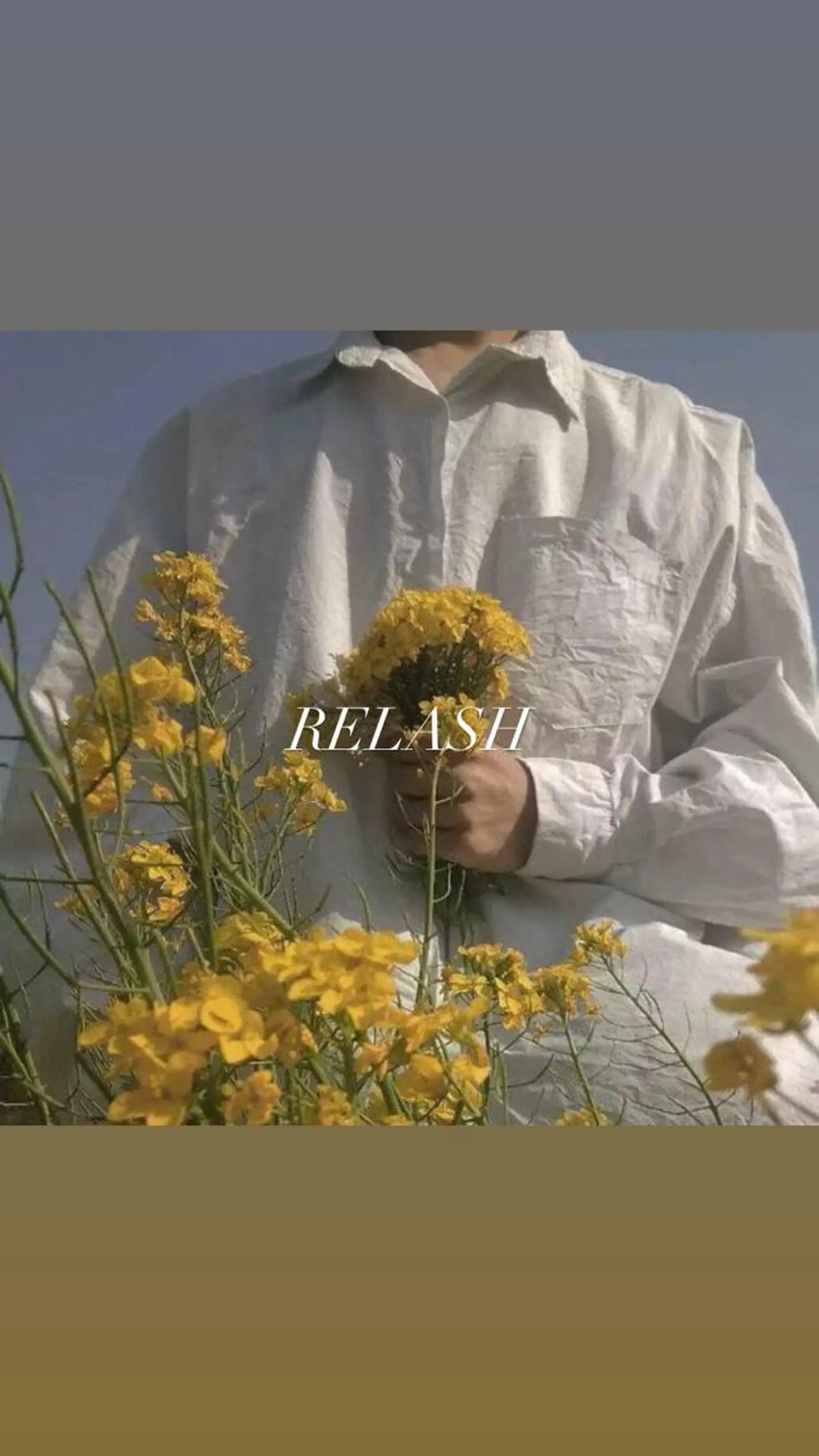 アイブロウ ハリウッドブロウリフト ワックス脱毛 その他(アイブロウ) brow.nail Maruyamaの眉毛・アイブロウイメージ