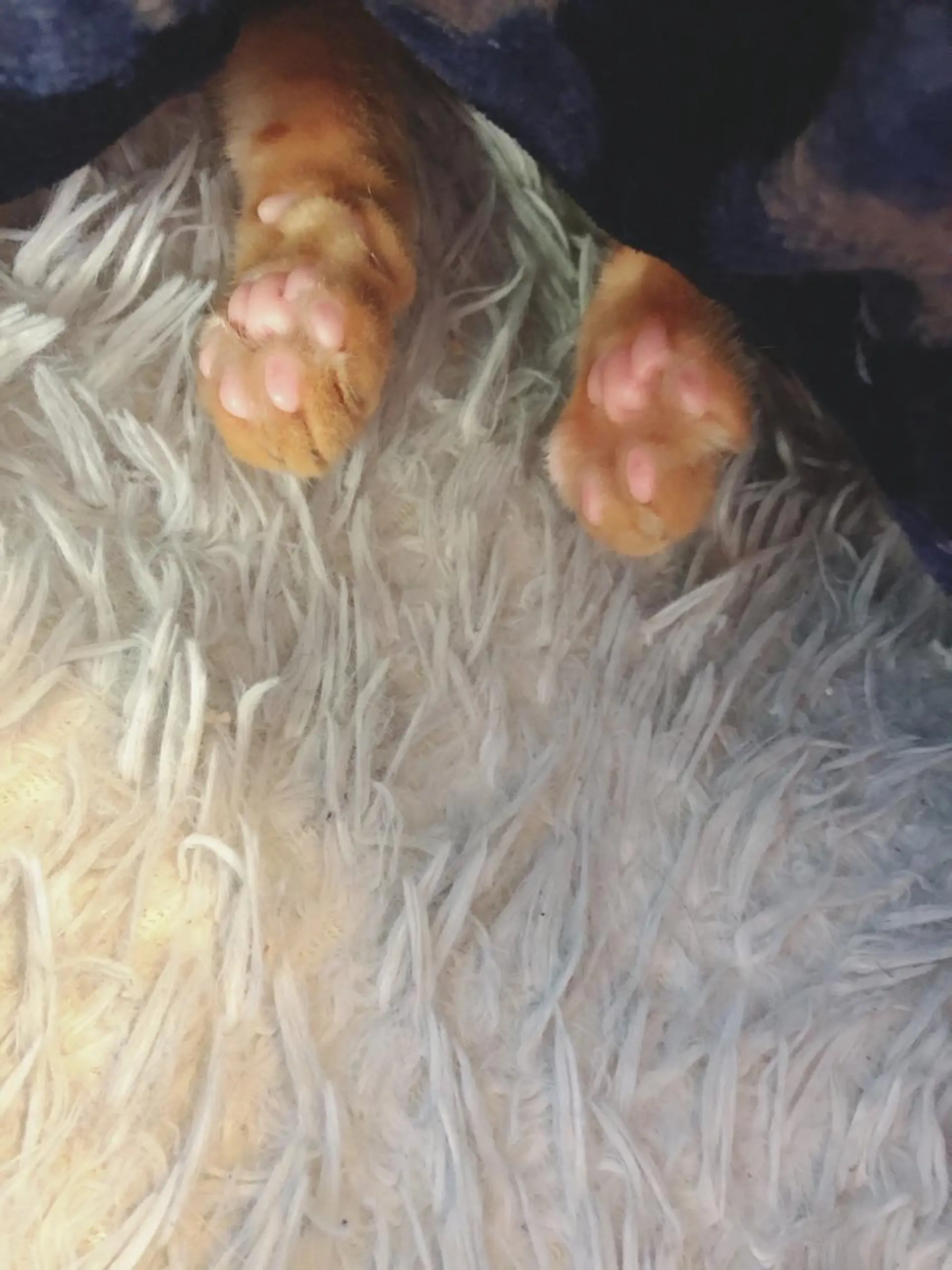 kiki nail &brow二子玉川の眉毛・アイブロウイメージ