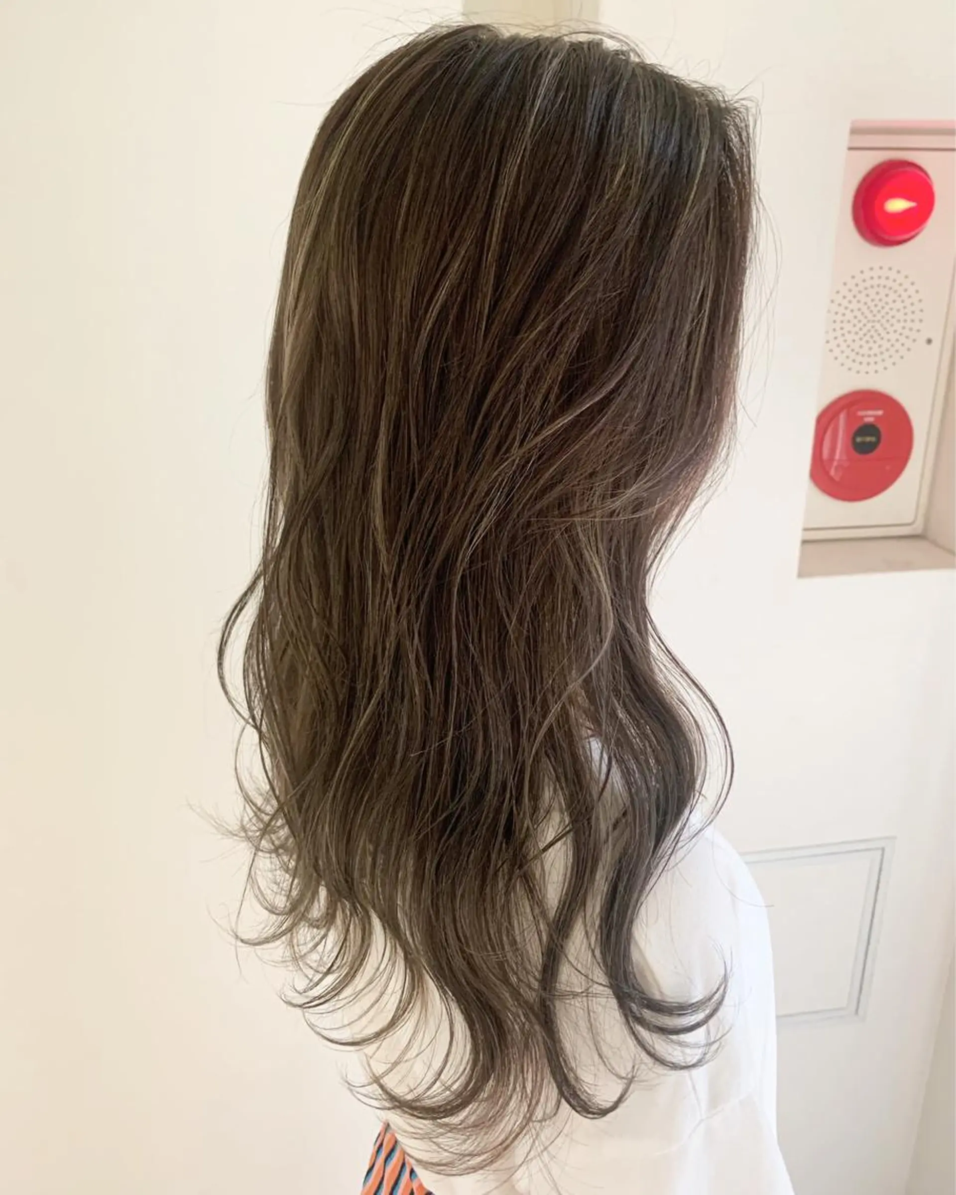 ロング ハイライト 渡辺 健太のヘアスタイル